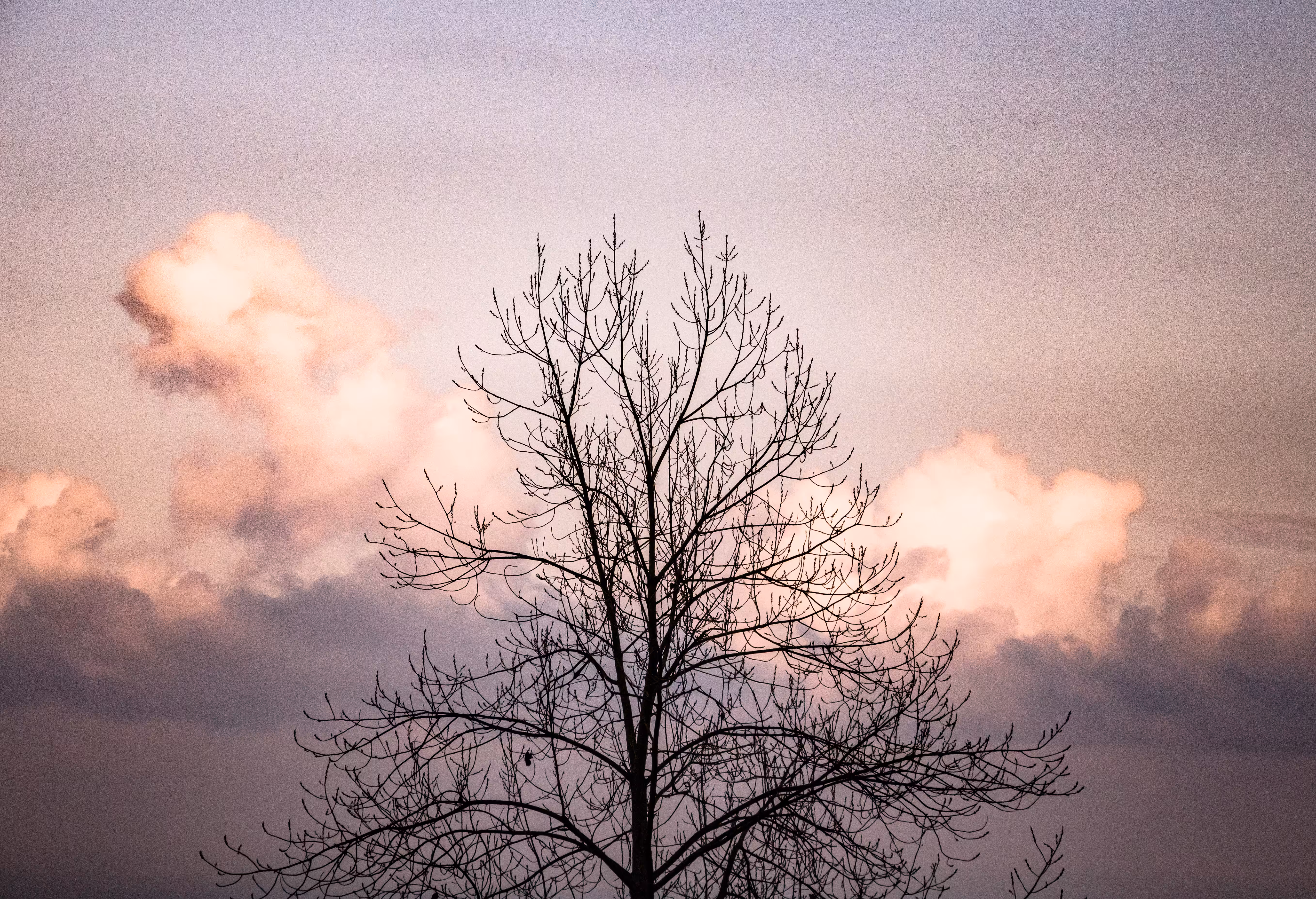 7. "Among the clouds"