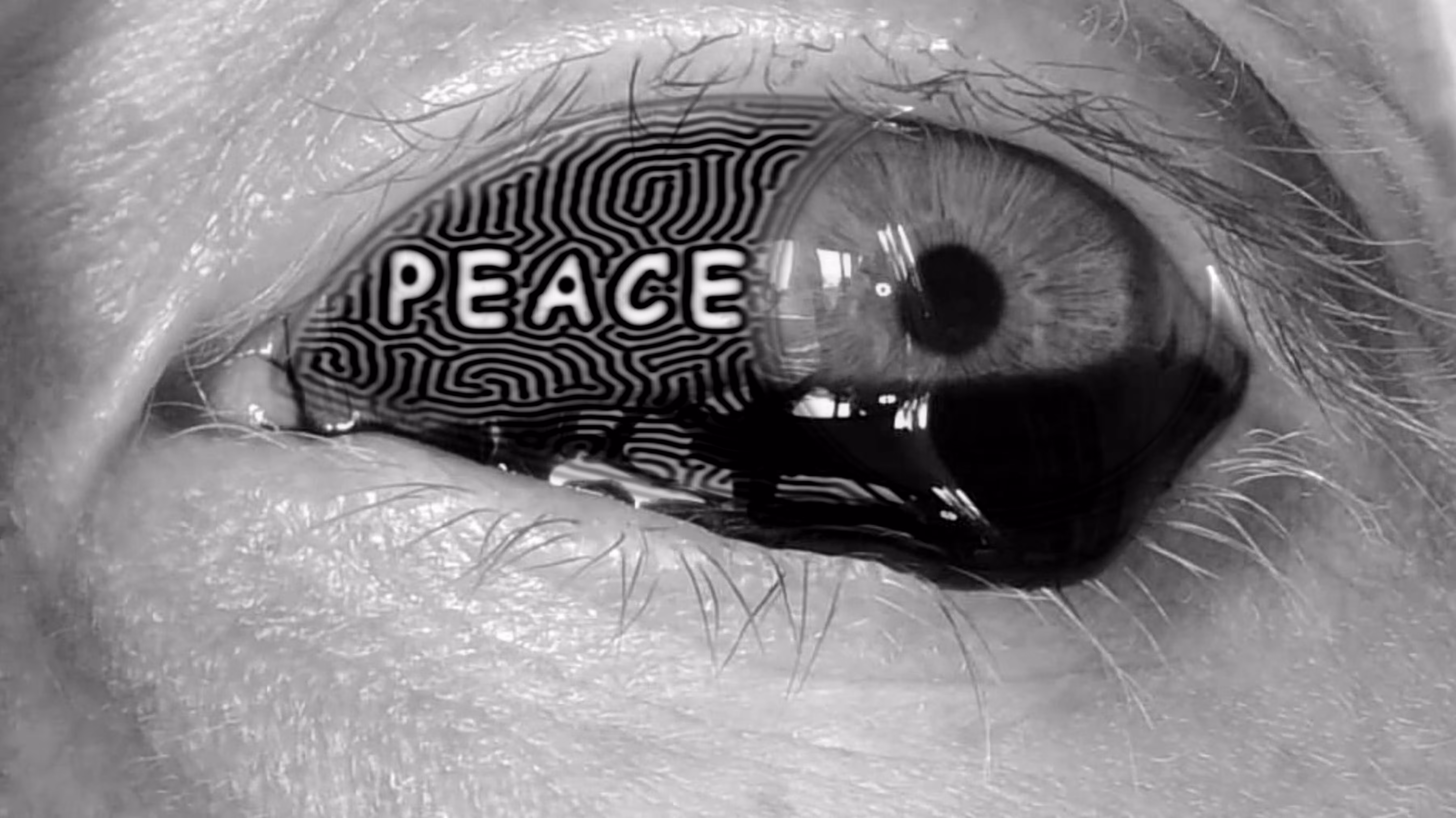 Blindness 09