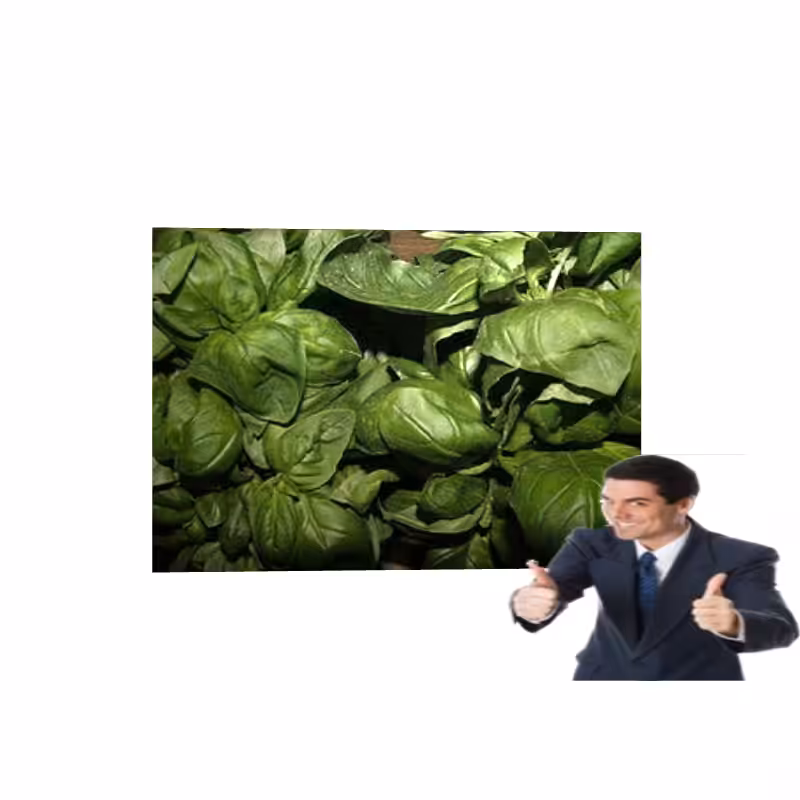 ART BASIL 2022 #111