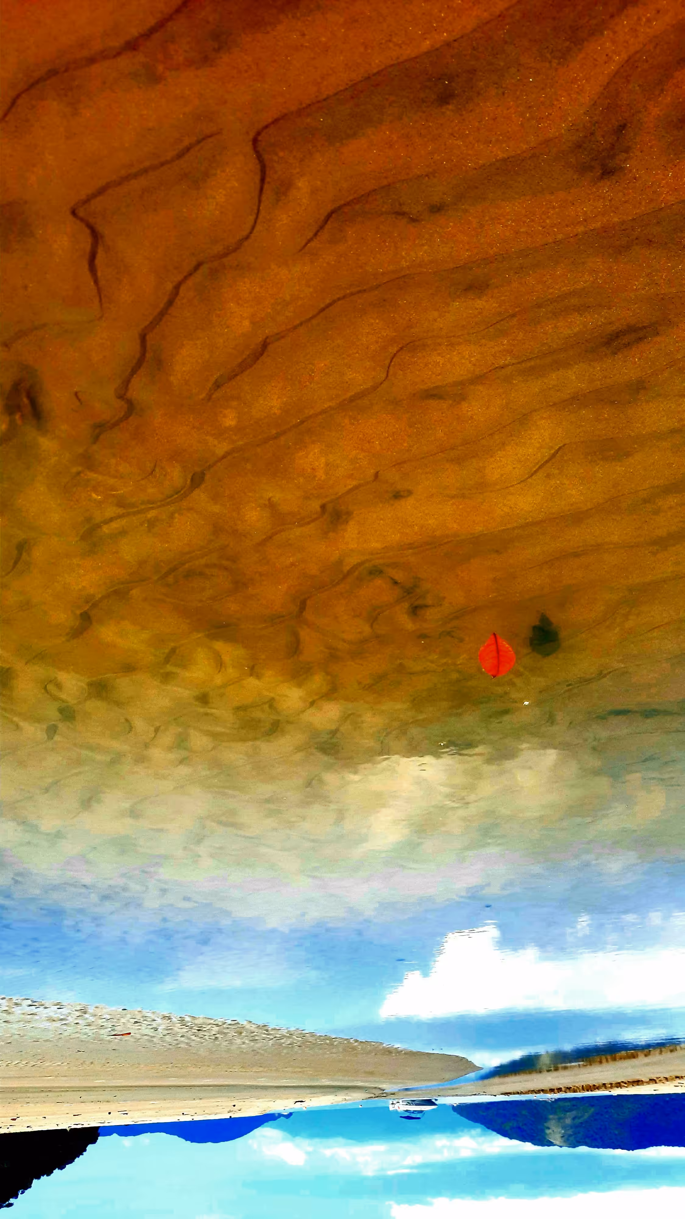 Abstract-Nature#7