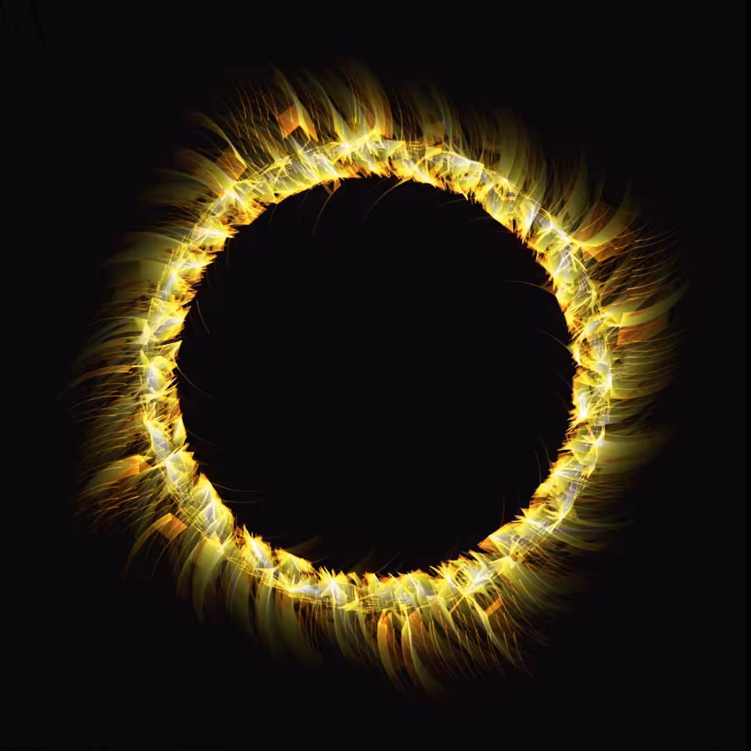 Sun Et Flower
