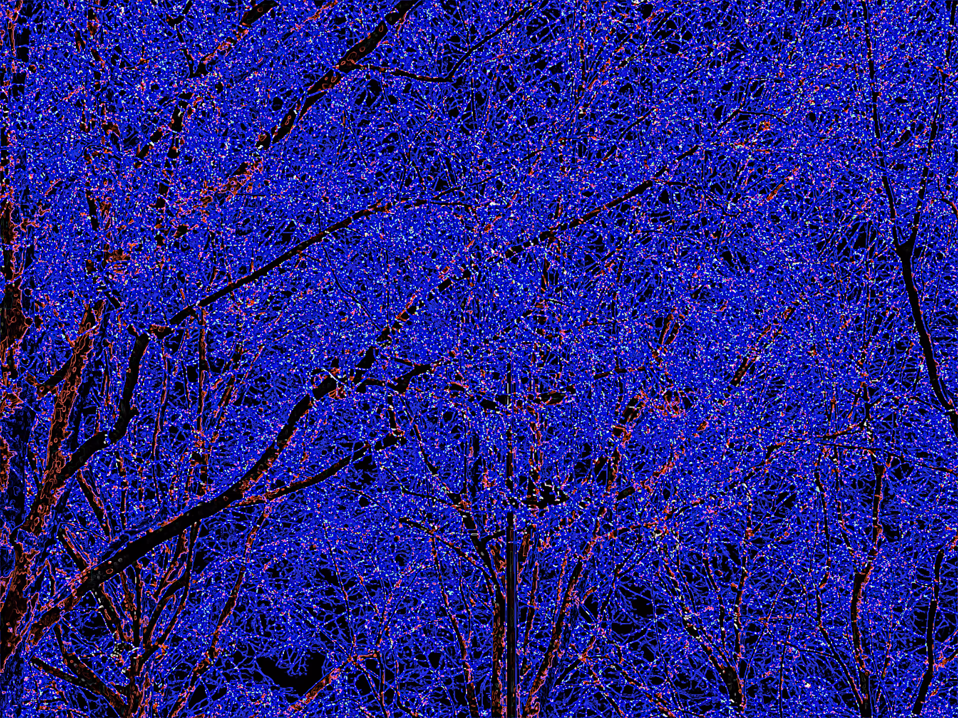 The Trees Of Aubervilliers Dance At Night