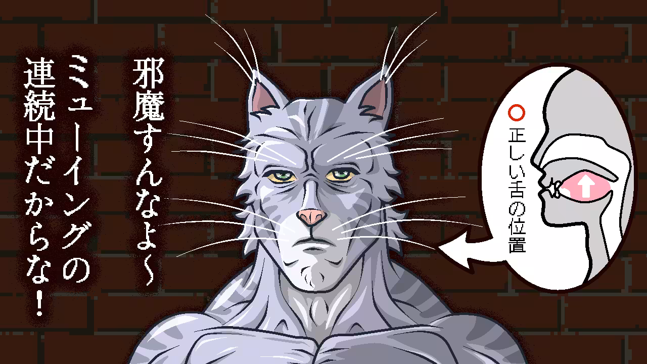 Σ猫