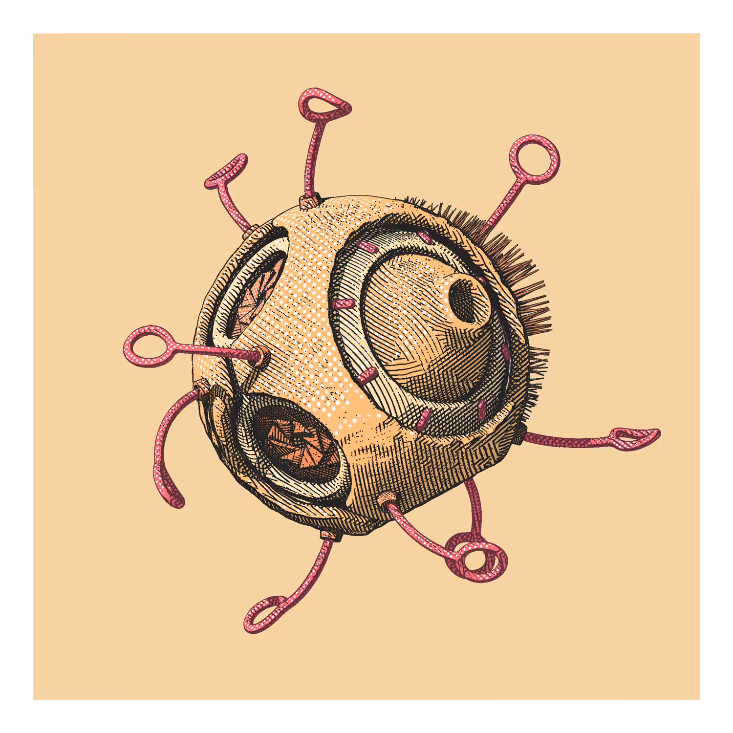 planet #14