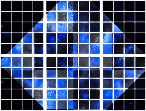 The Colour Grid