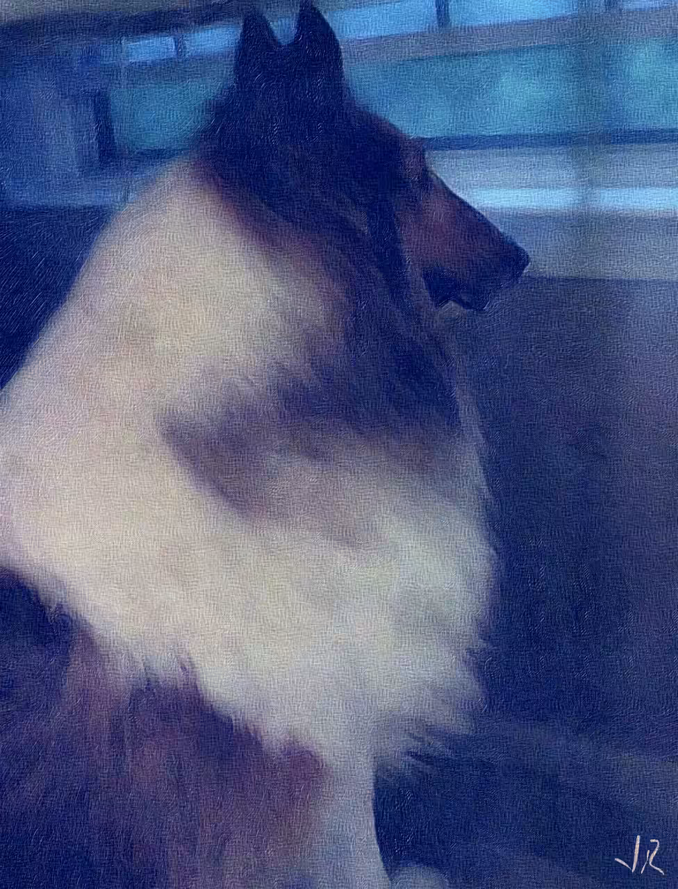 REMEMBERING COCO