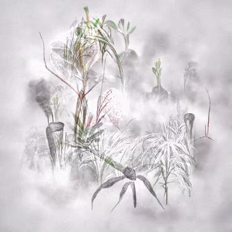 Hauntological Herbarium #27