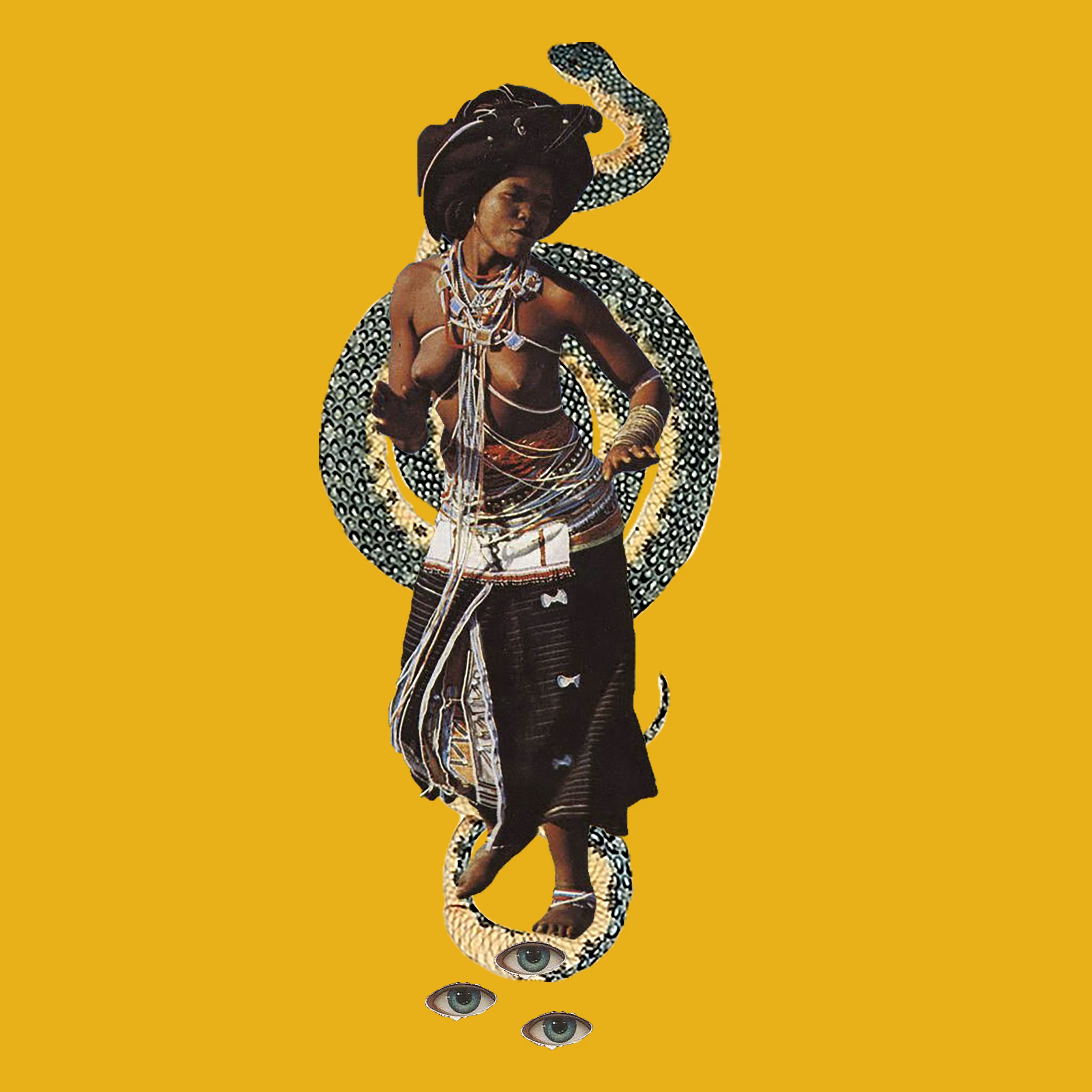 COBRA