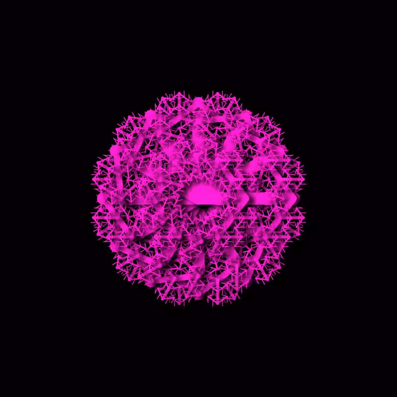 the progression of modern flowers #77