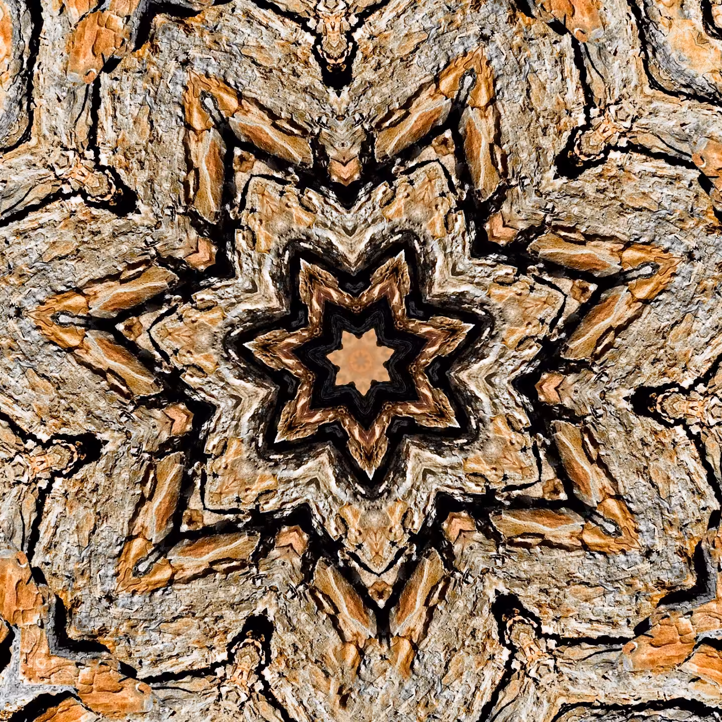 woody flower