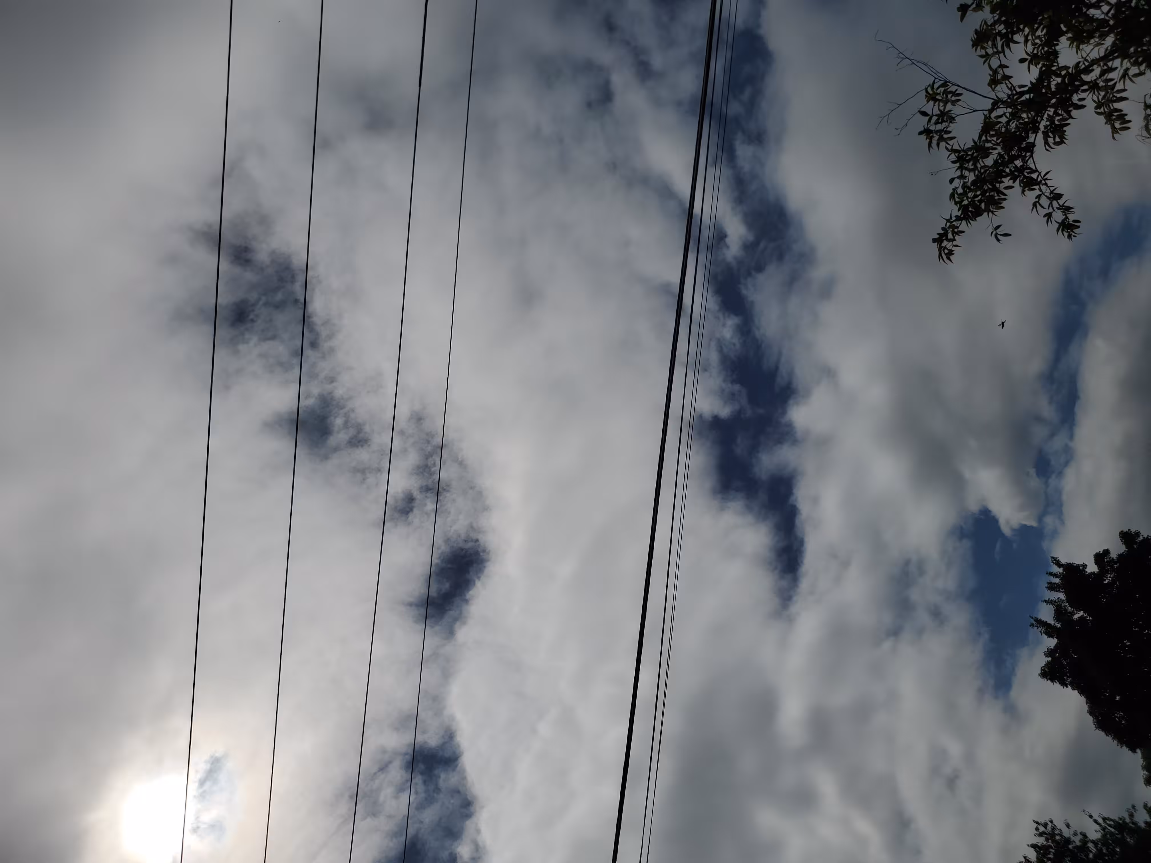 Clouds and Lines