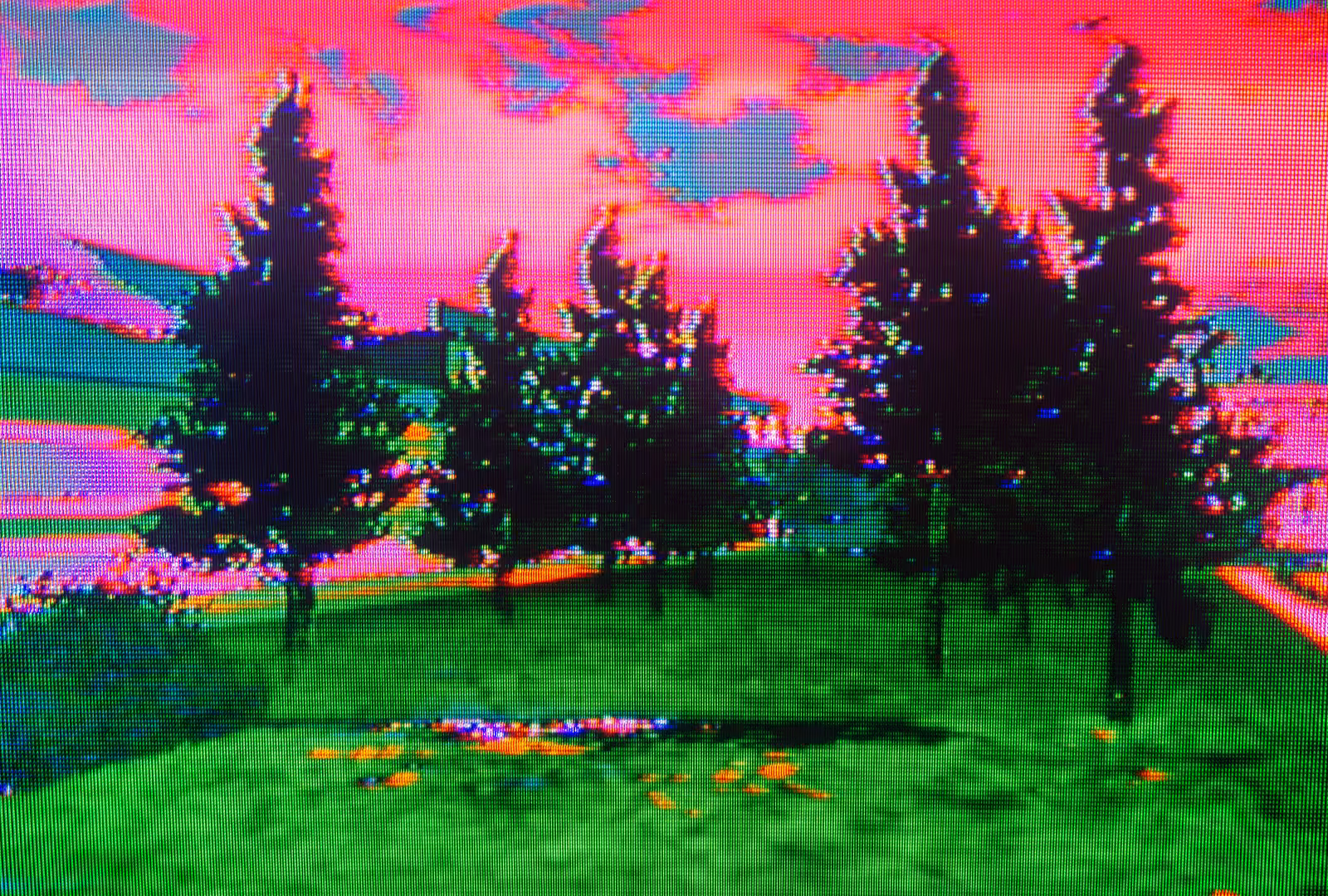 lucid dream