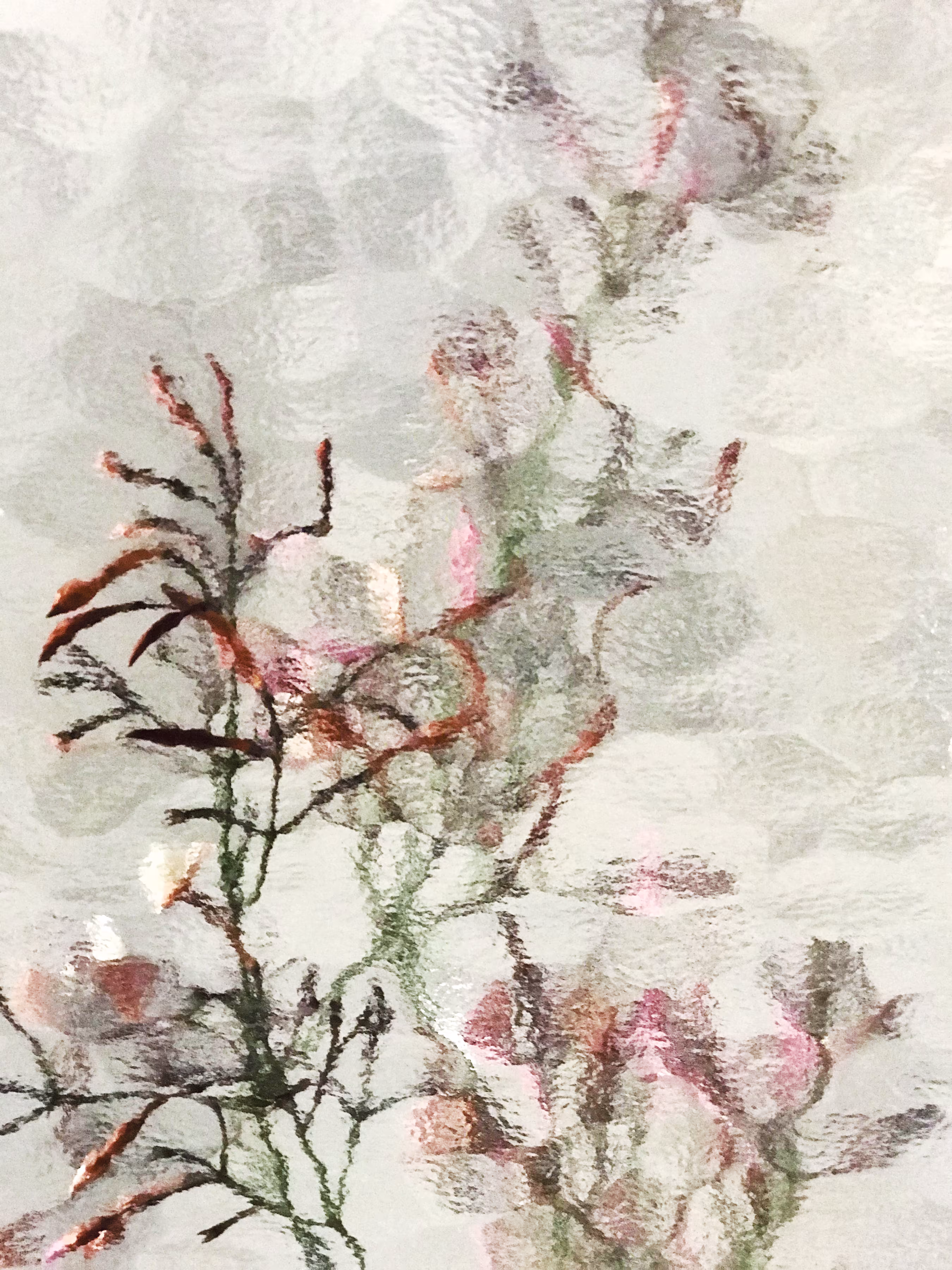 Reflections #13