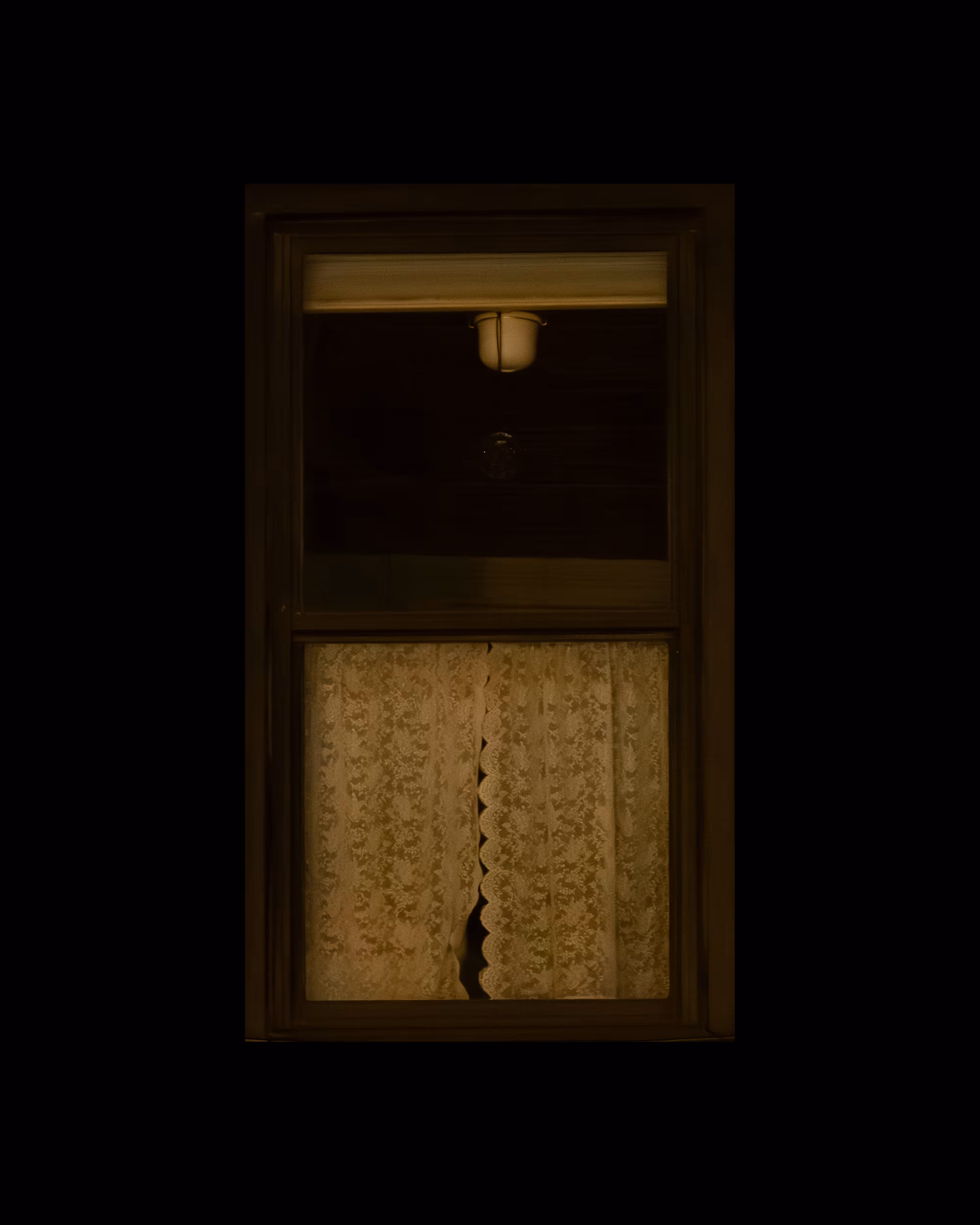 WINDOW 769