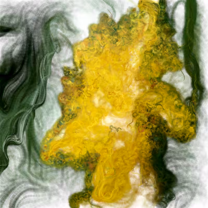Hypericum #36