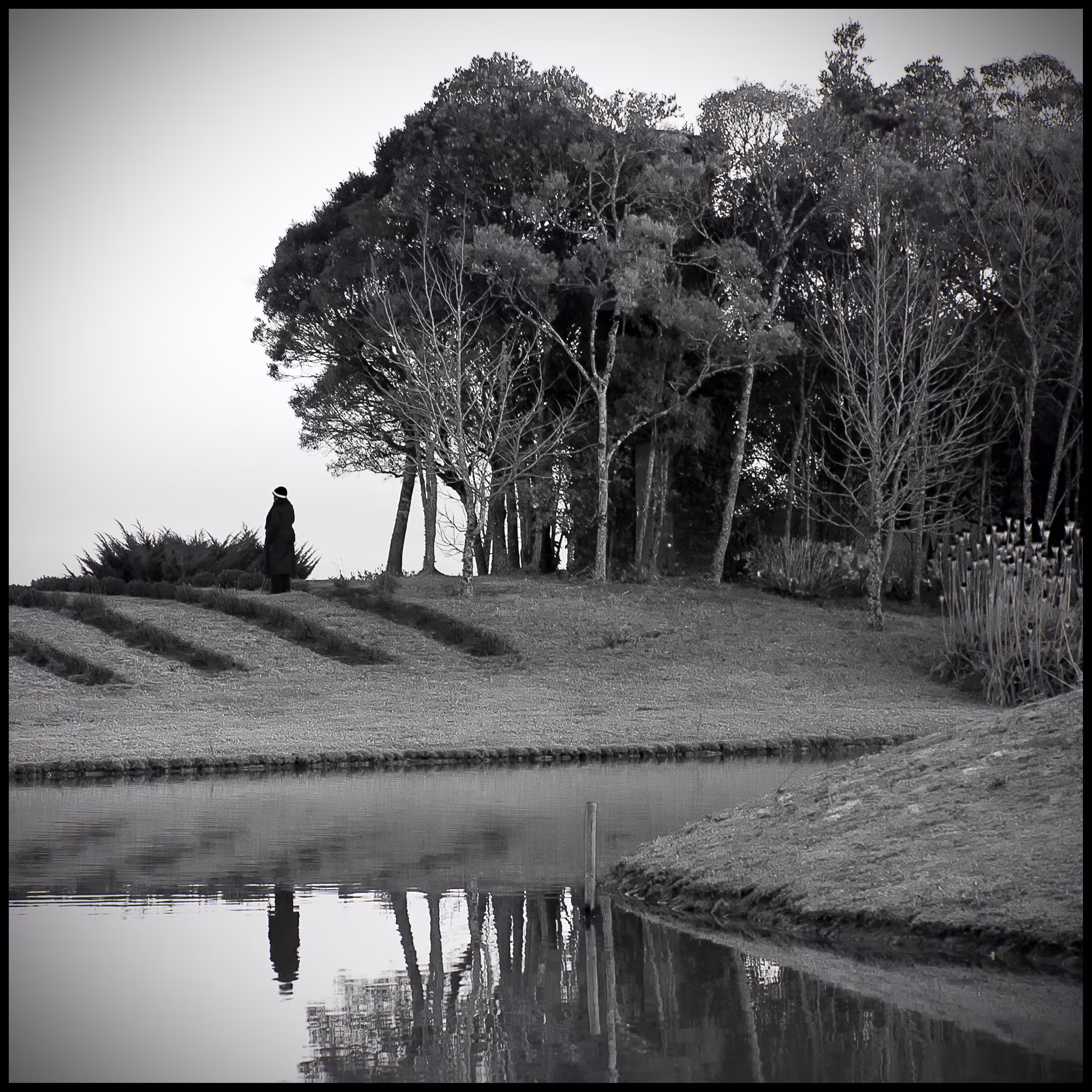 Solitude or Solidão