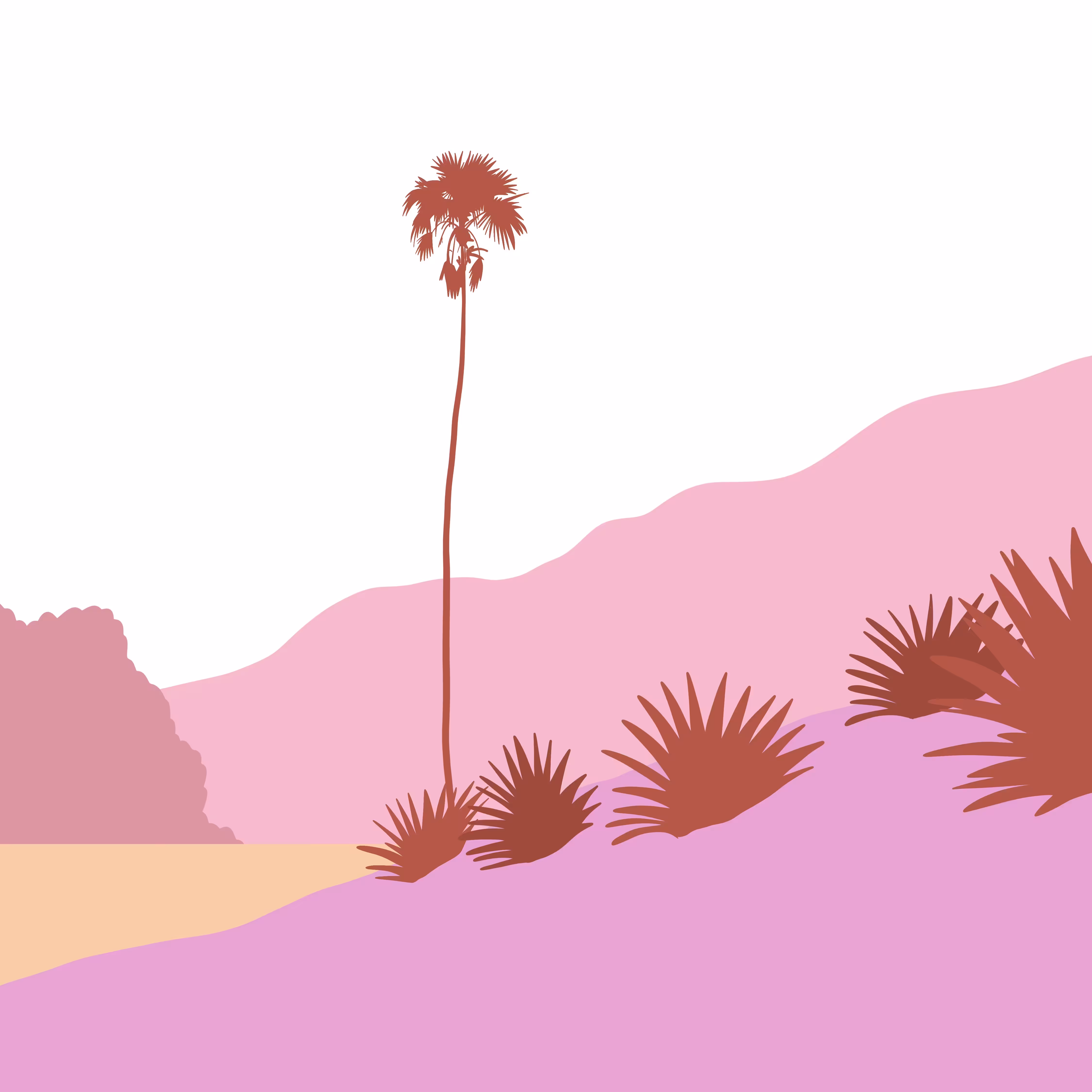 Solo Palm