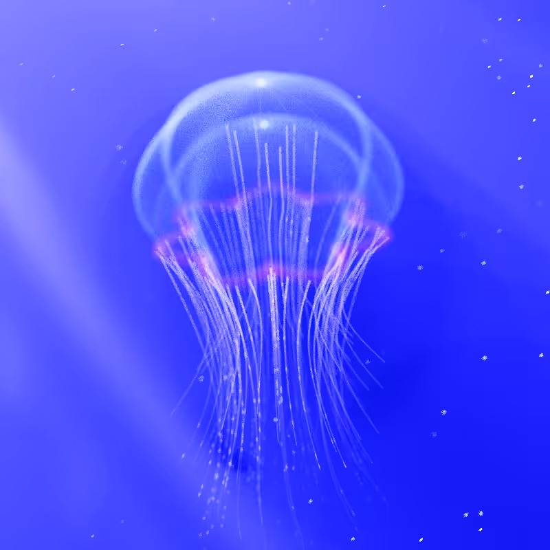 Creatures of the Deep #1 - The Jellyfish #2