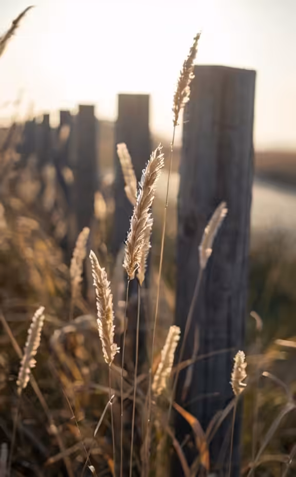 Inspiration Nature: Inspiration #59