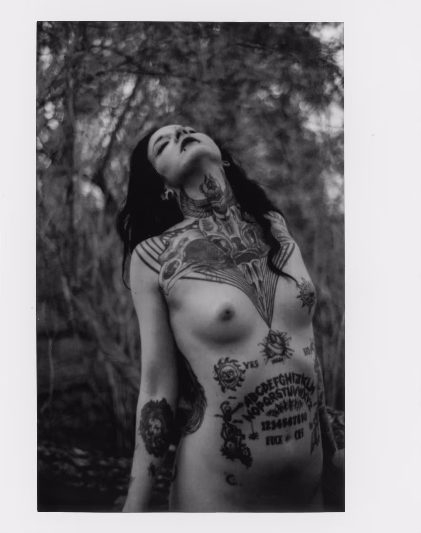 Free noir instax wide