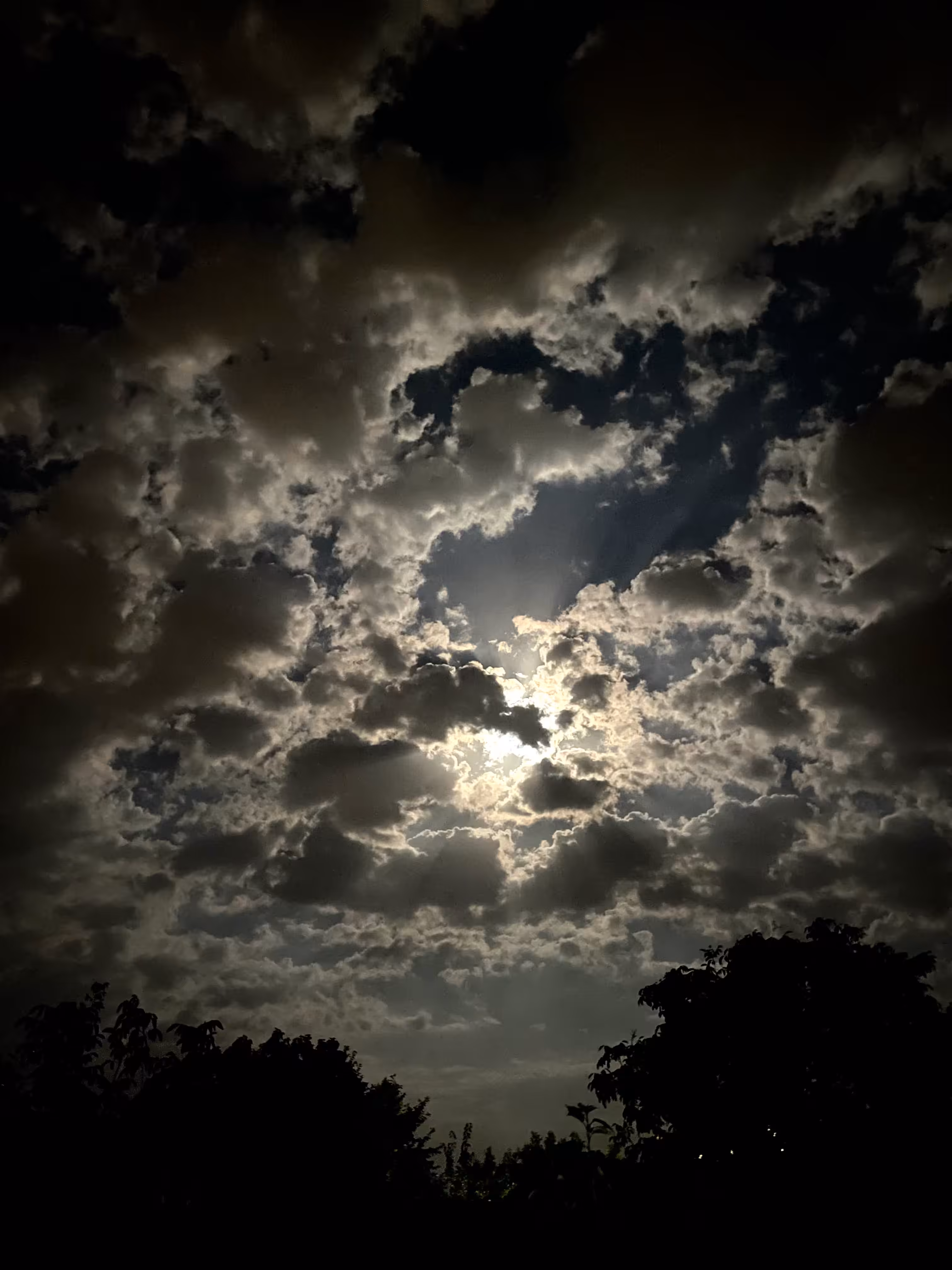 Moonlight