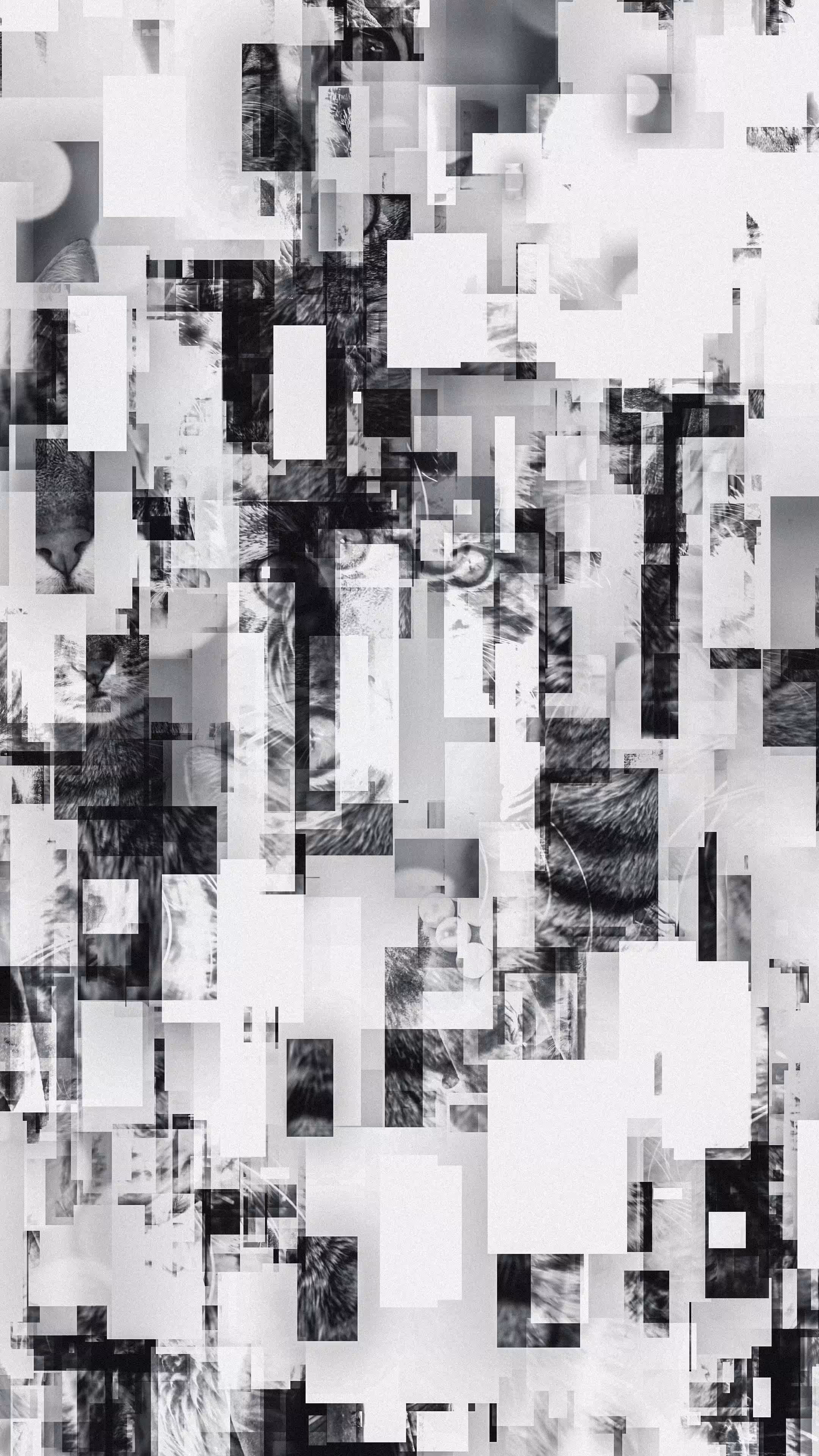 Generative Collage for Cats