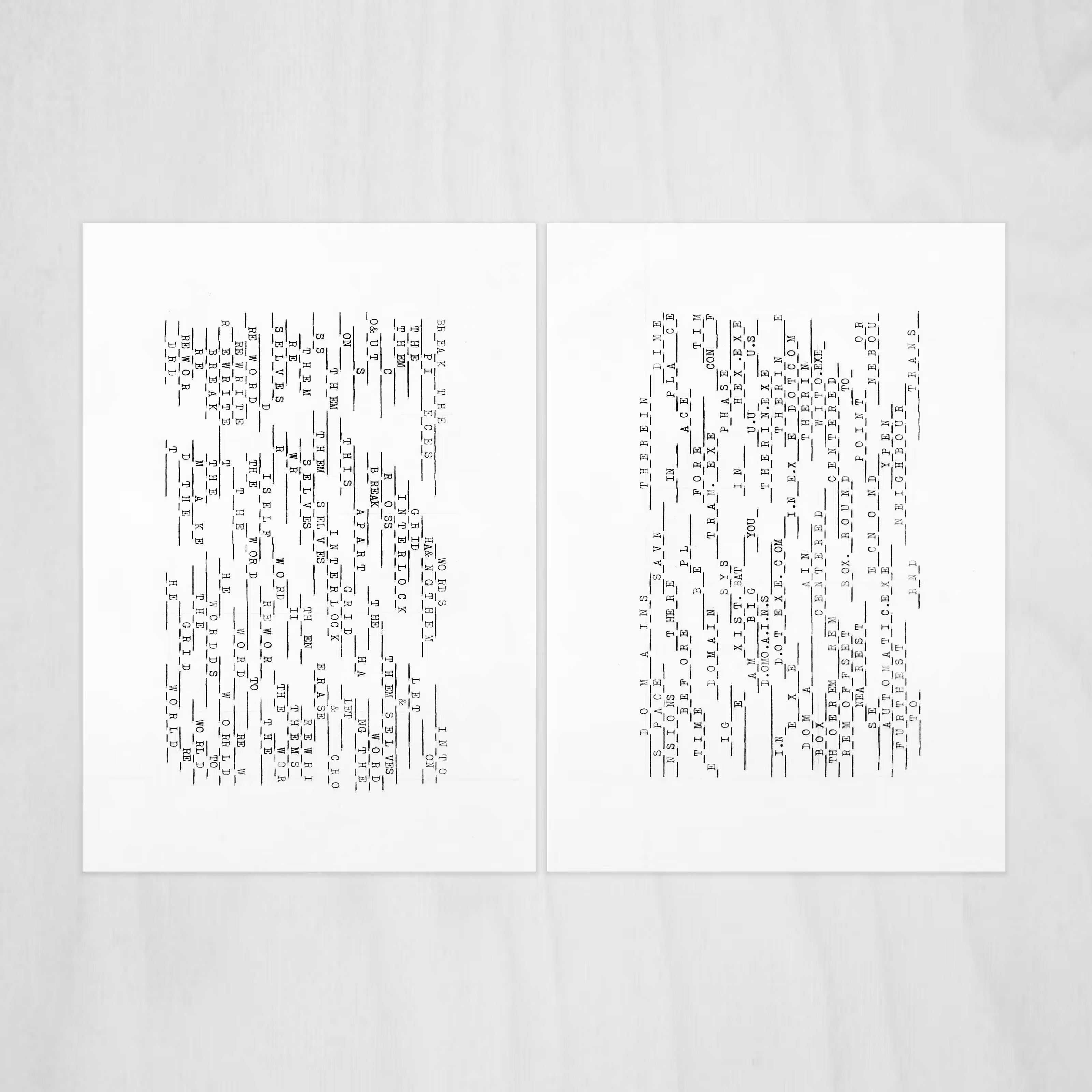 The Erosion of Words (Diptych)