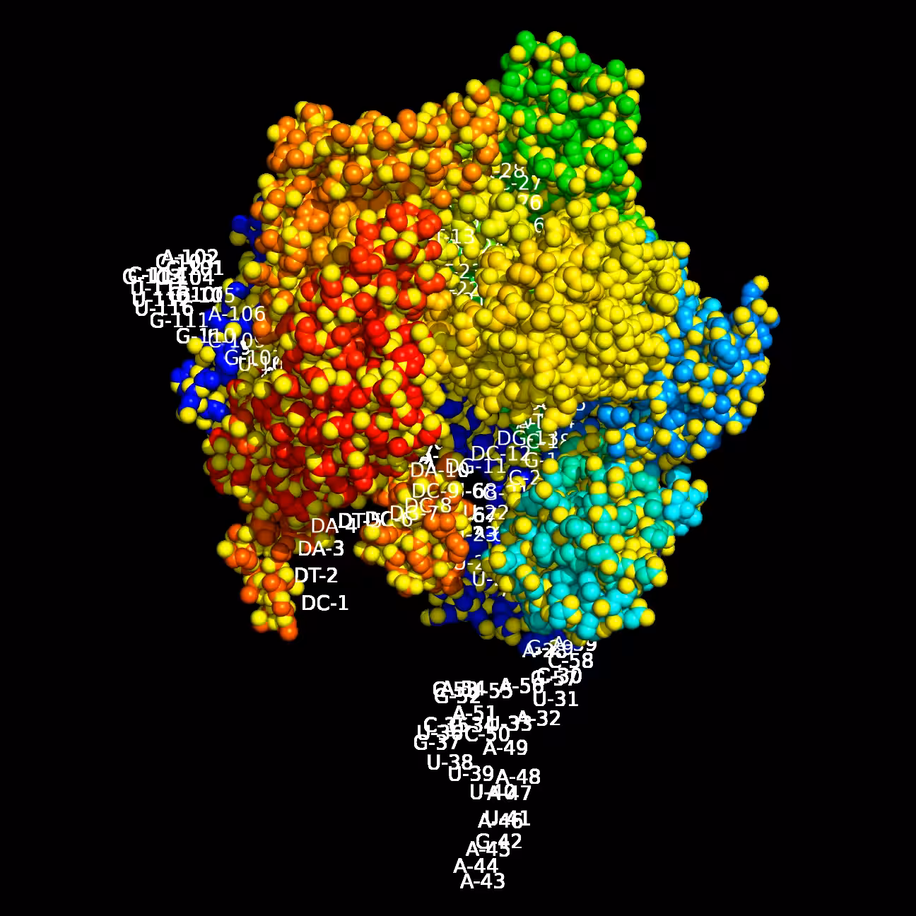 A CRISPR View (CRISPR/Cas9) letters