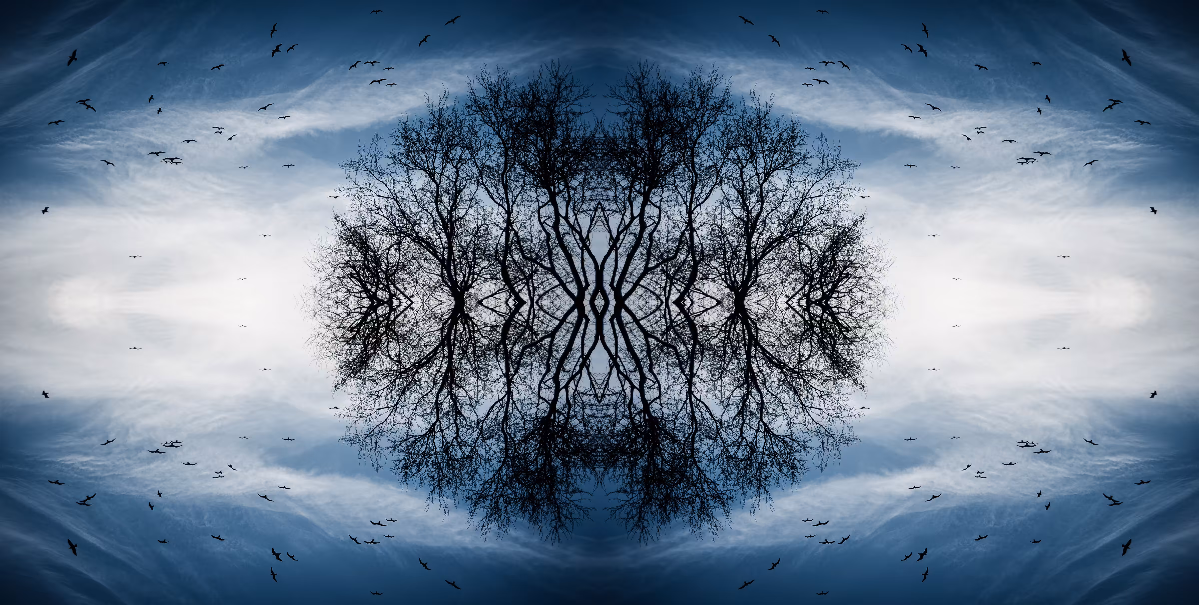 The Eye