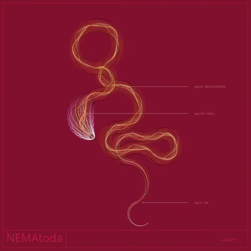 NEMA #42