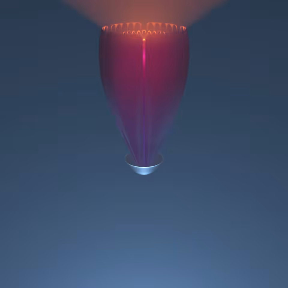 digiBlossom00