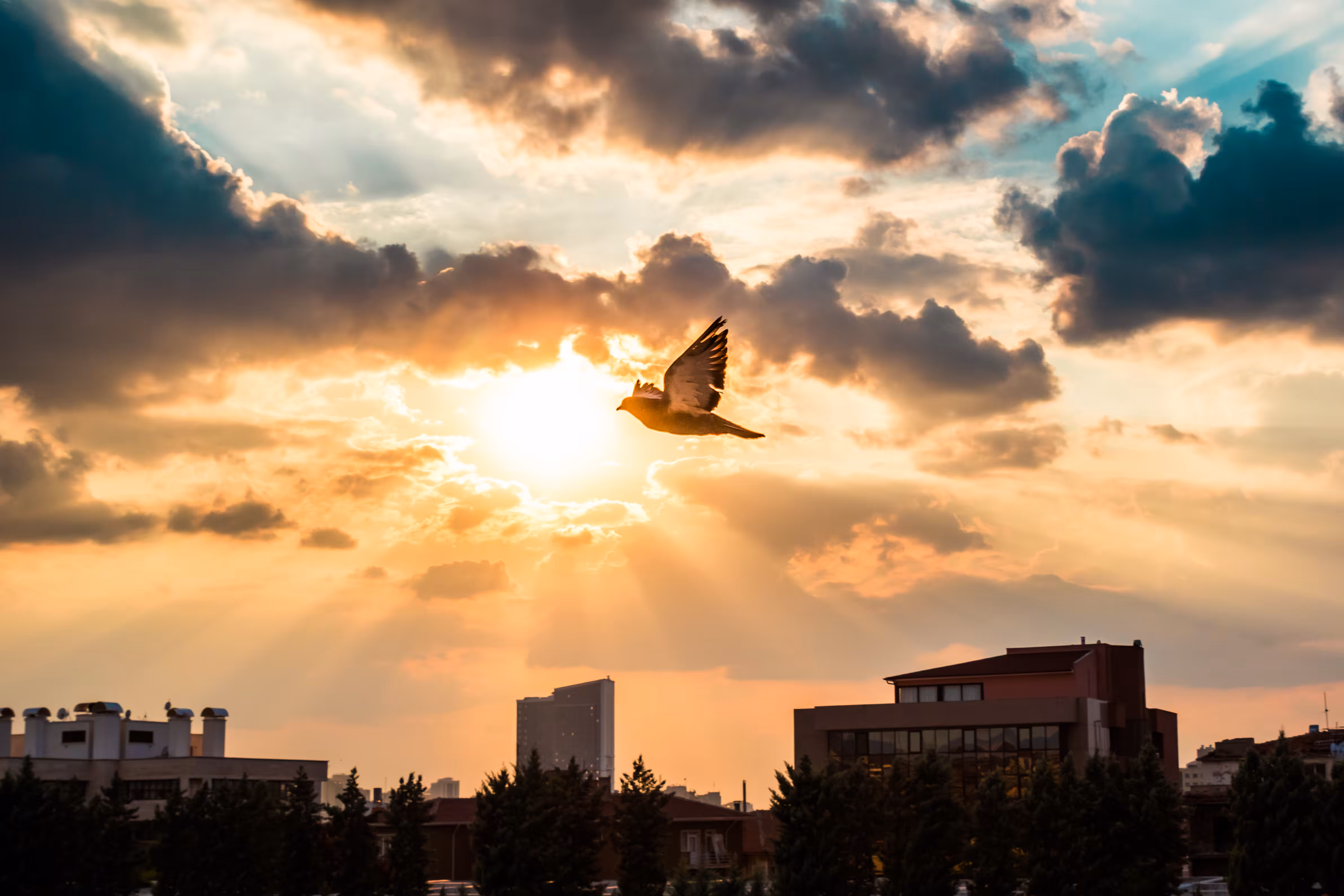 Flight