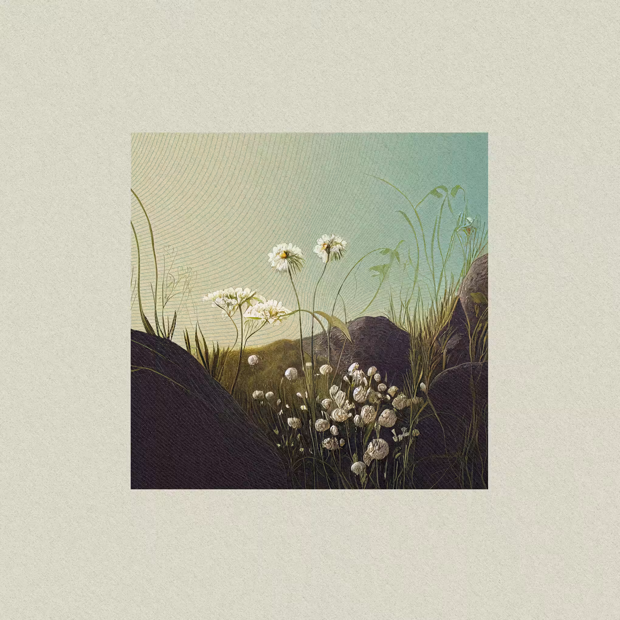 harmony · nature's fingerprint #1