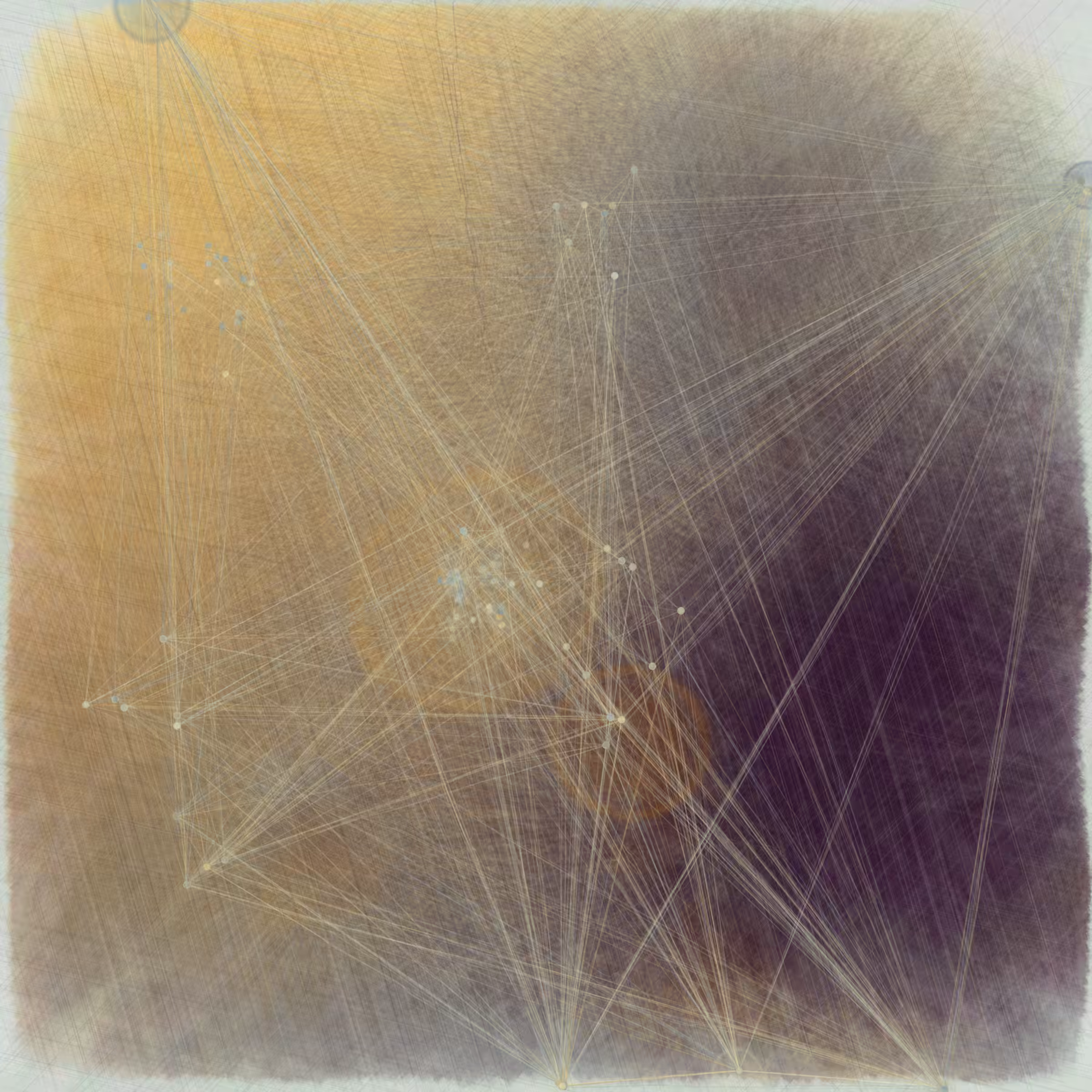 Reticulum