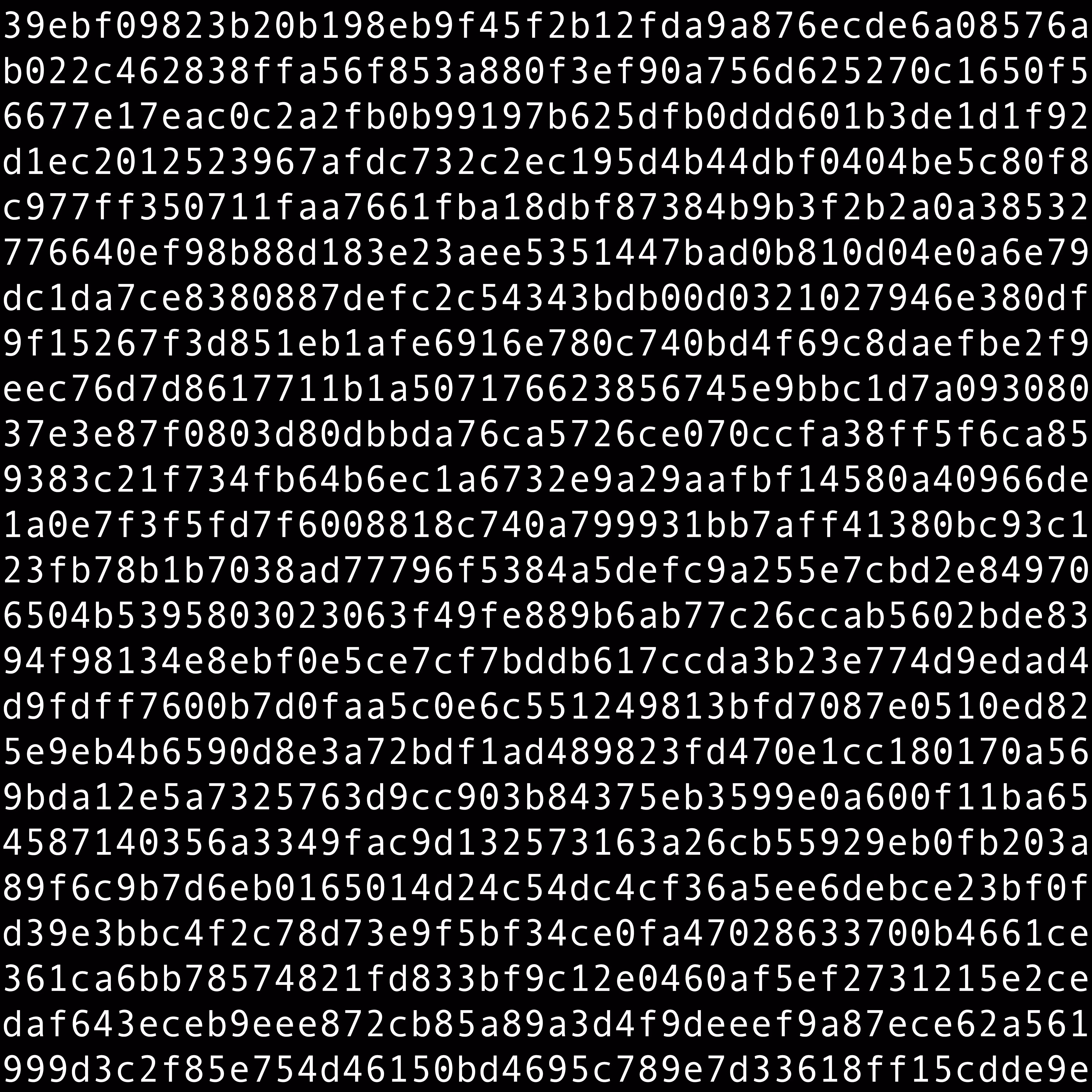 1111 #0446