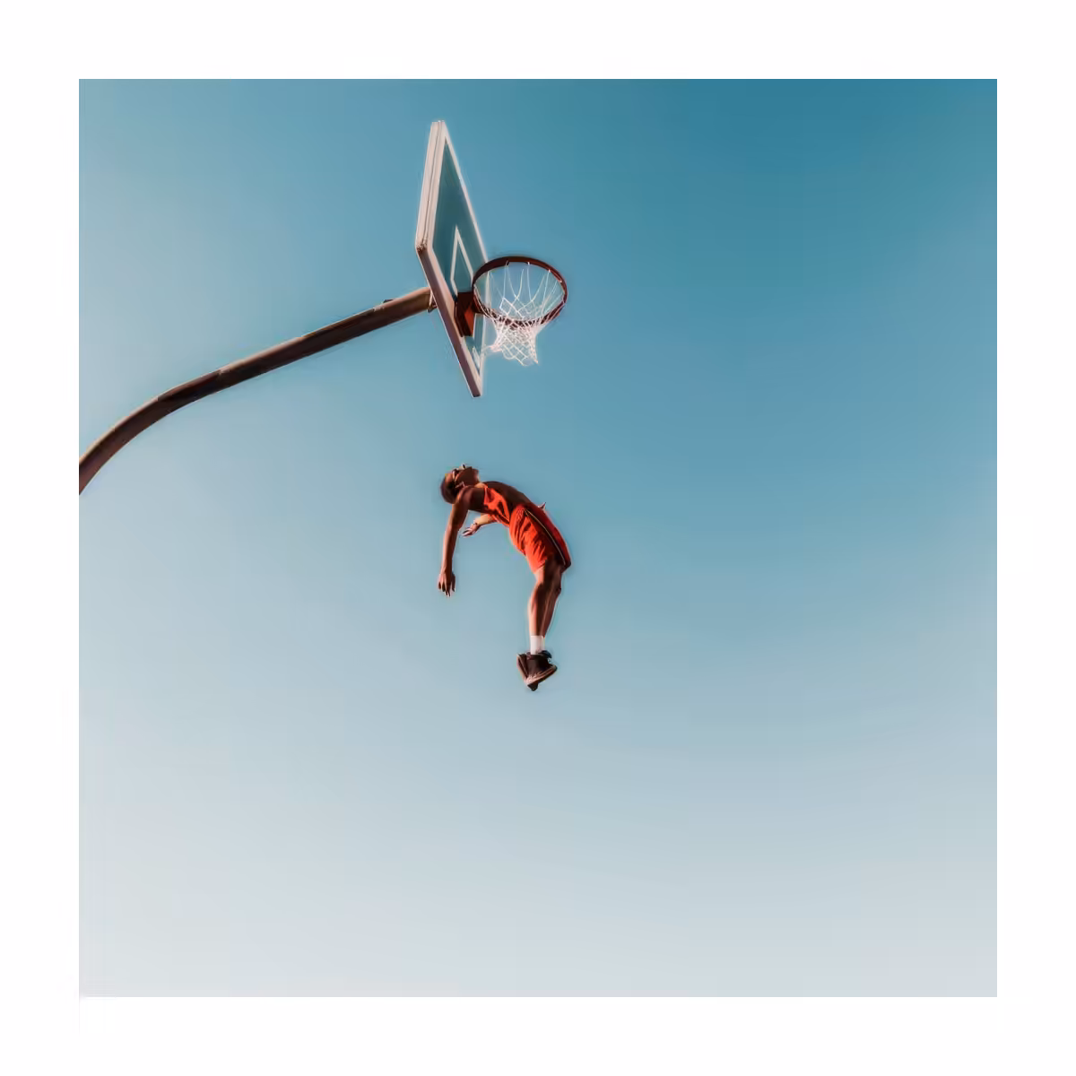 The basket - III