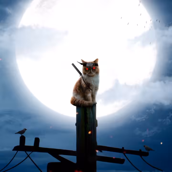 Ninja Cat