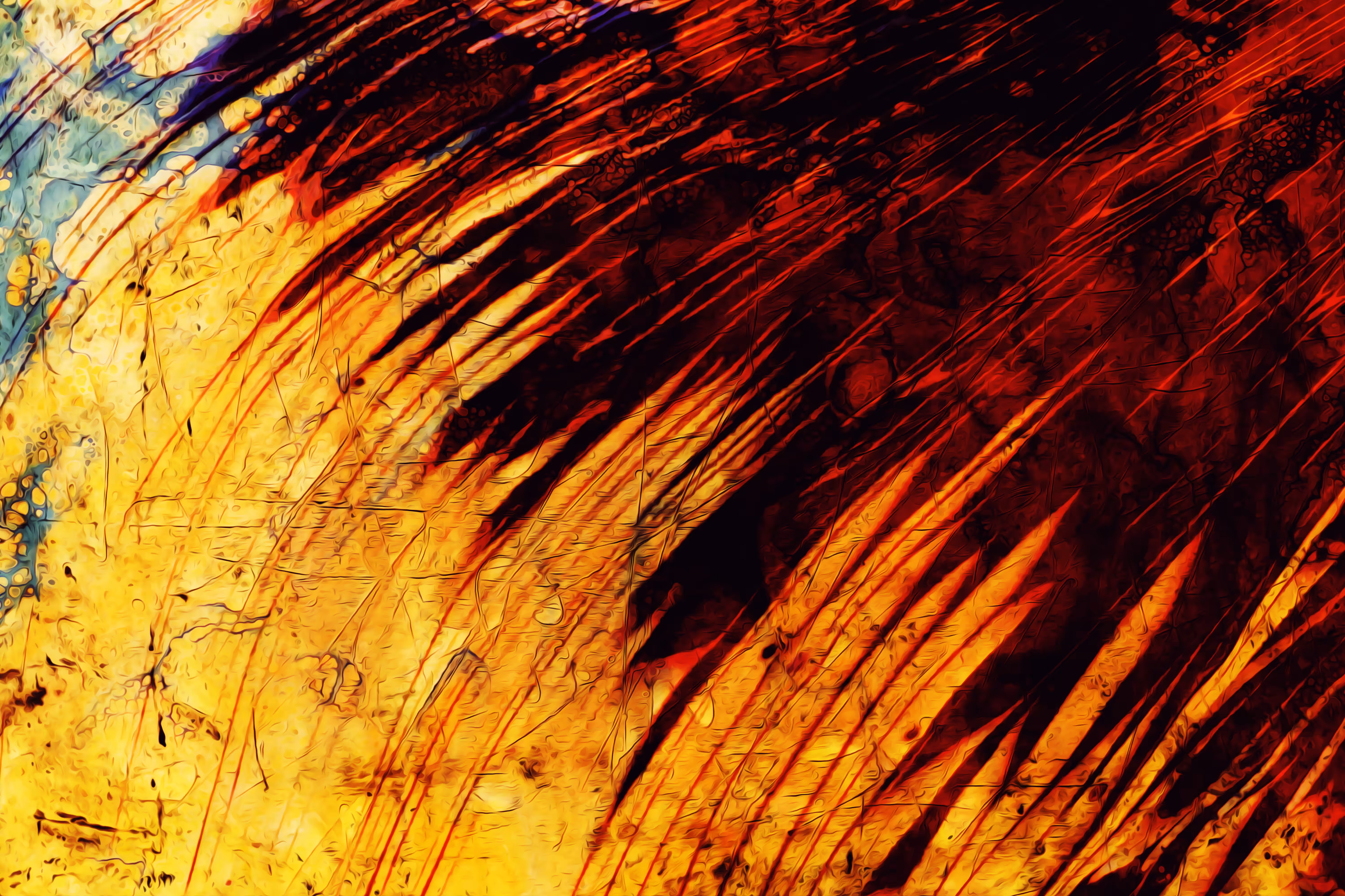 Winter Fire