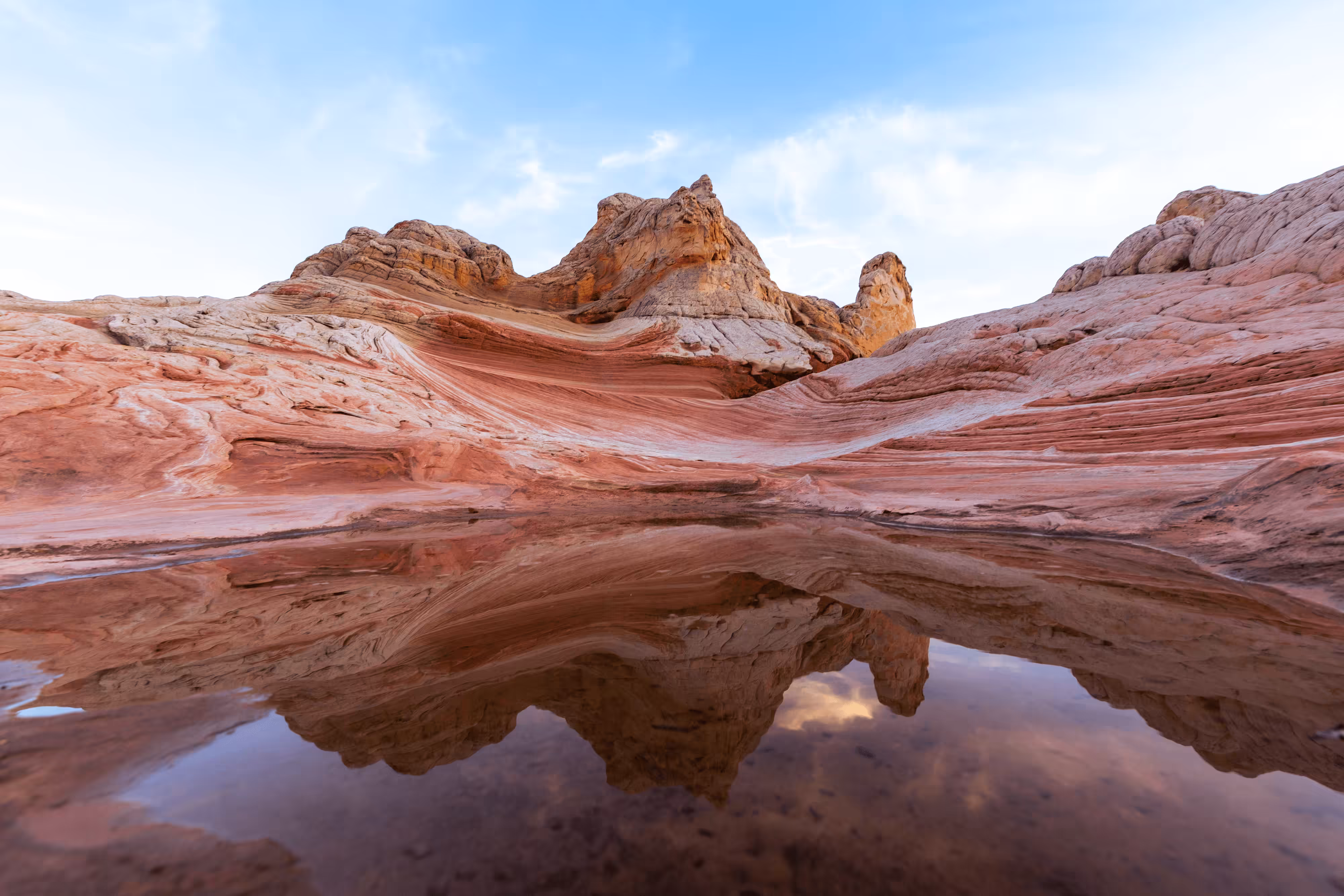 Desert Double Trouble
