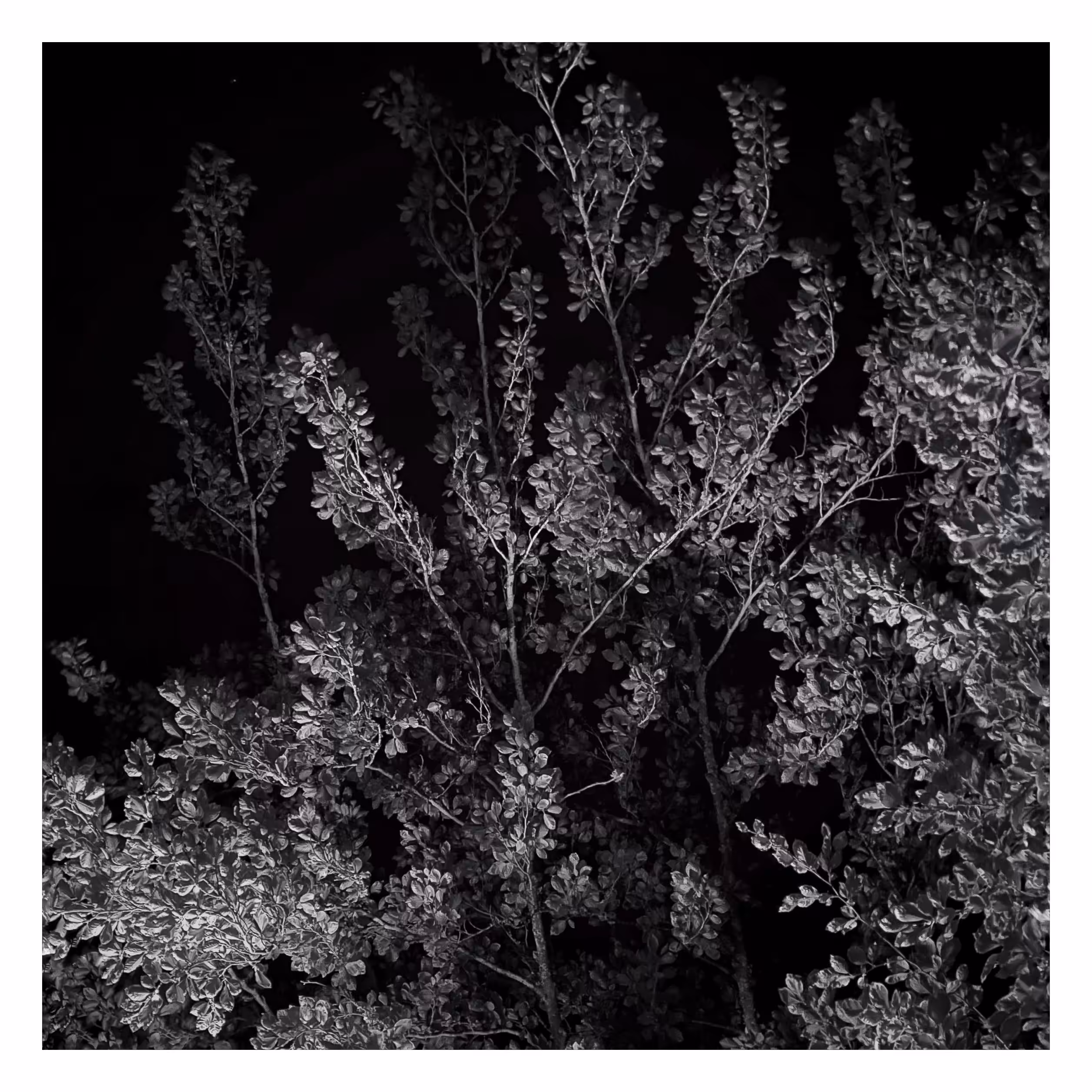 Stroll: July 22, 2023 • 10:45pm