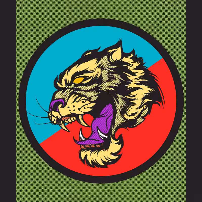 Big Tiger Soul #14