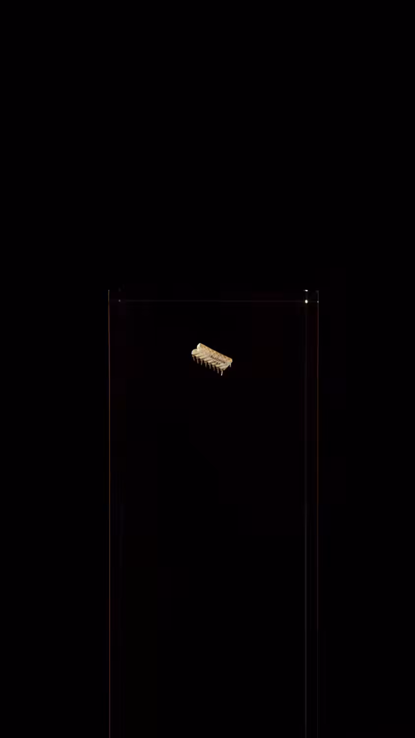 4004