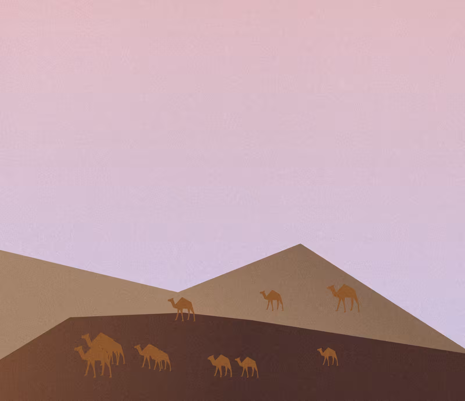 Oasis Odyssey #46