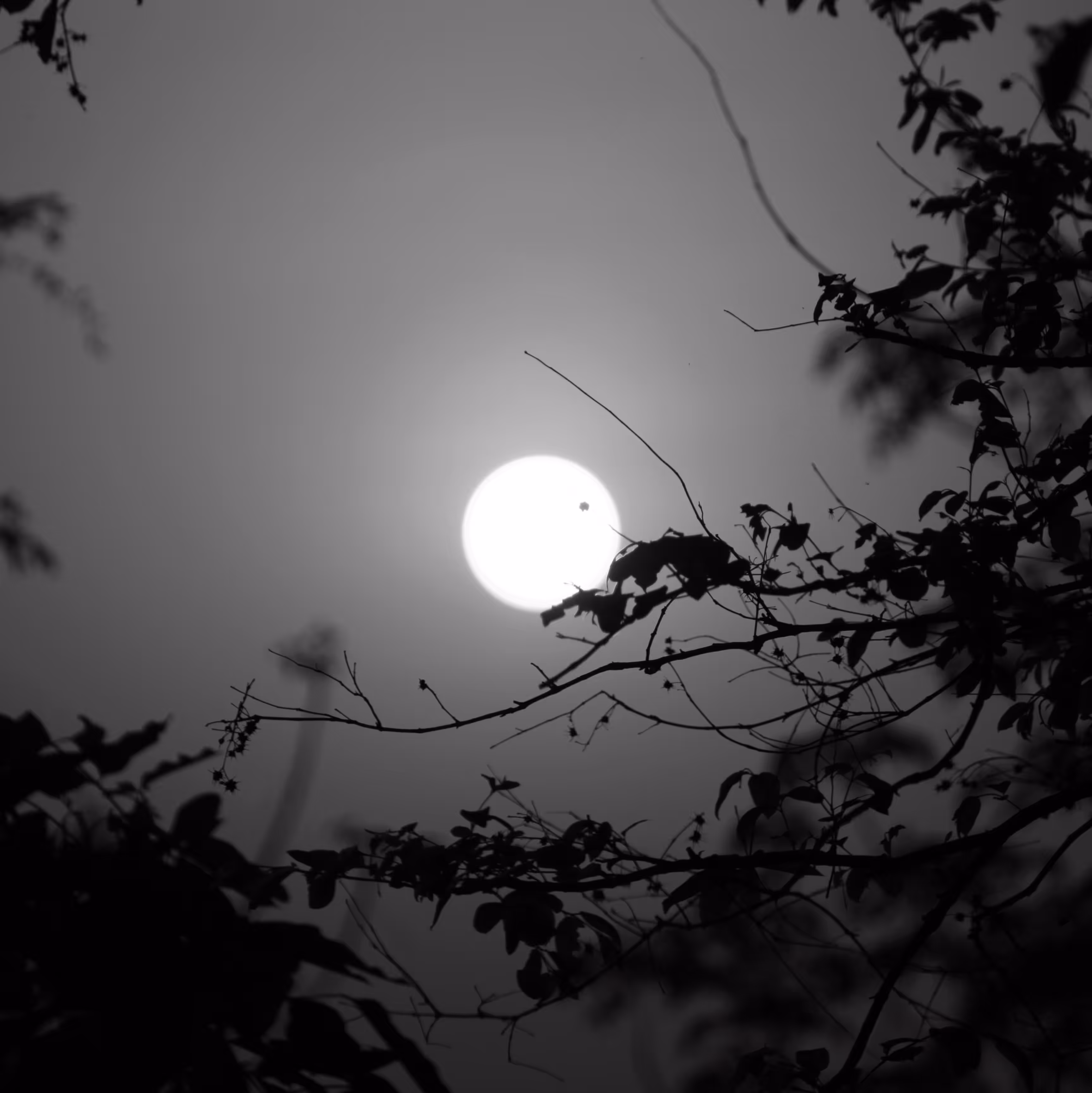 Light
