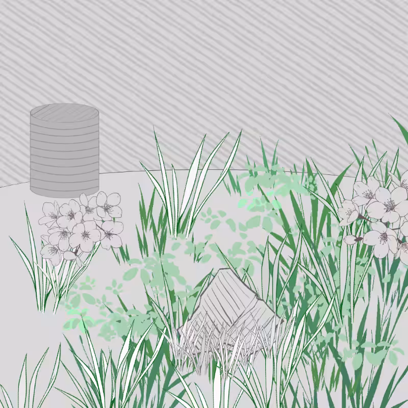 Wild Grass and Rubble #161