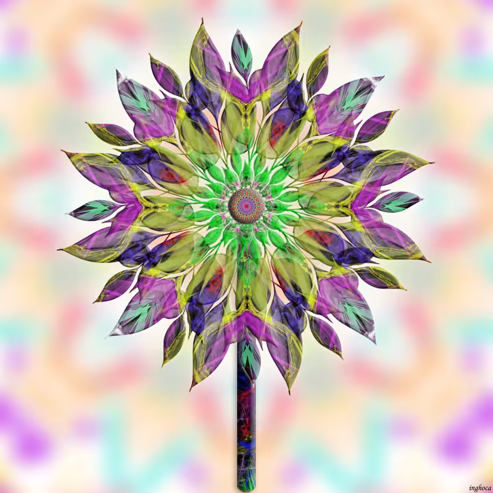 pinwheel 14