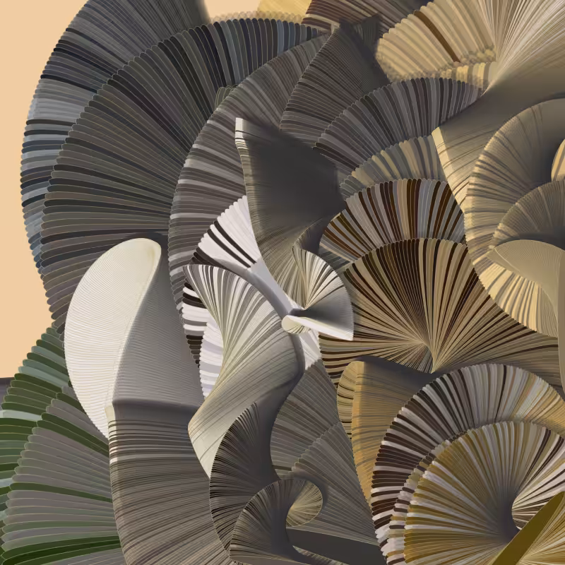 Seashells #46