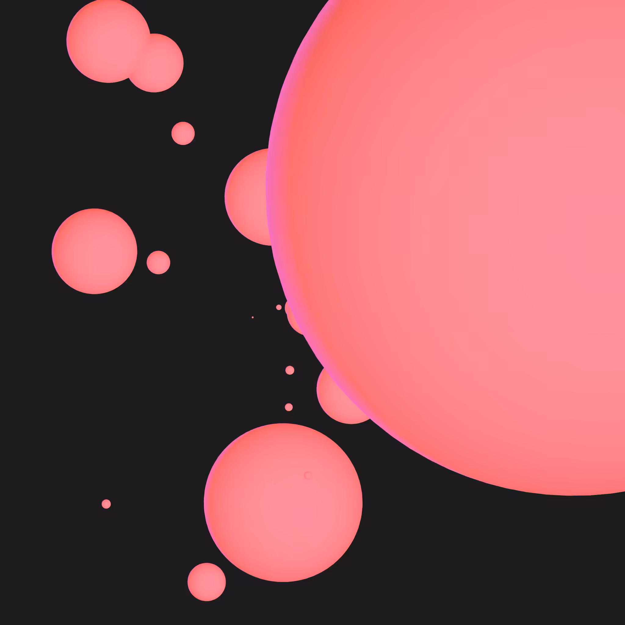 bloom