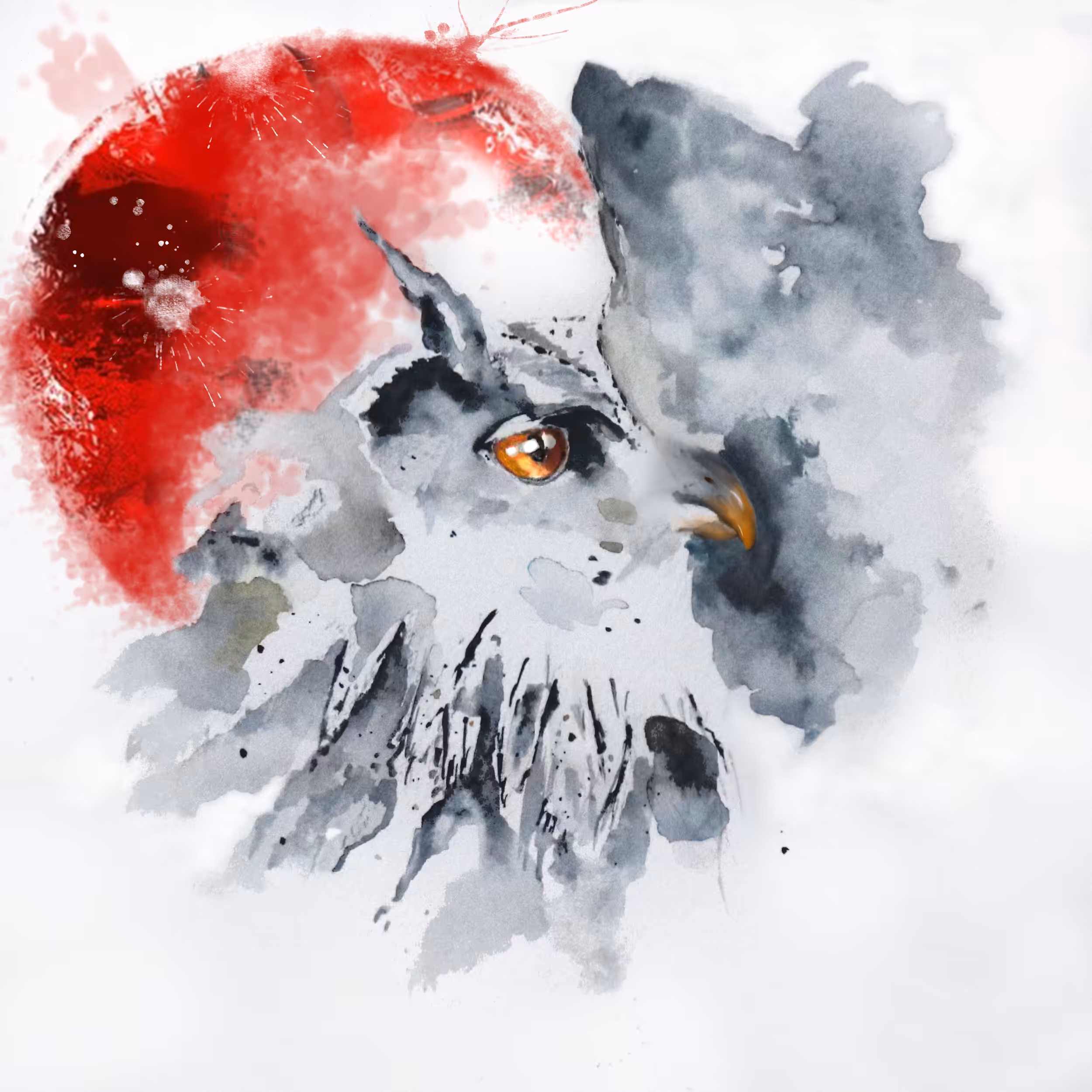 The Owl