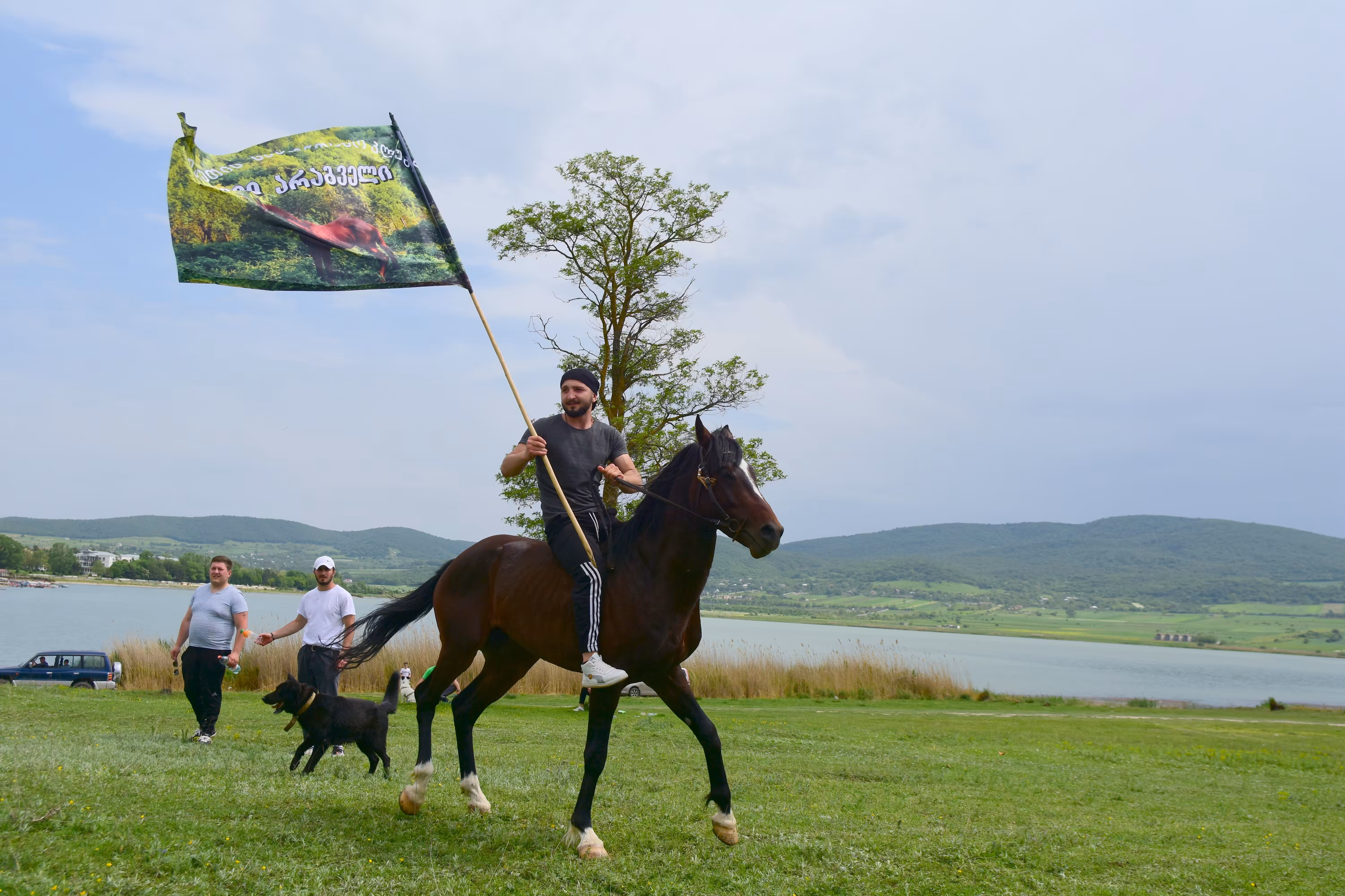 Horse Race 19
